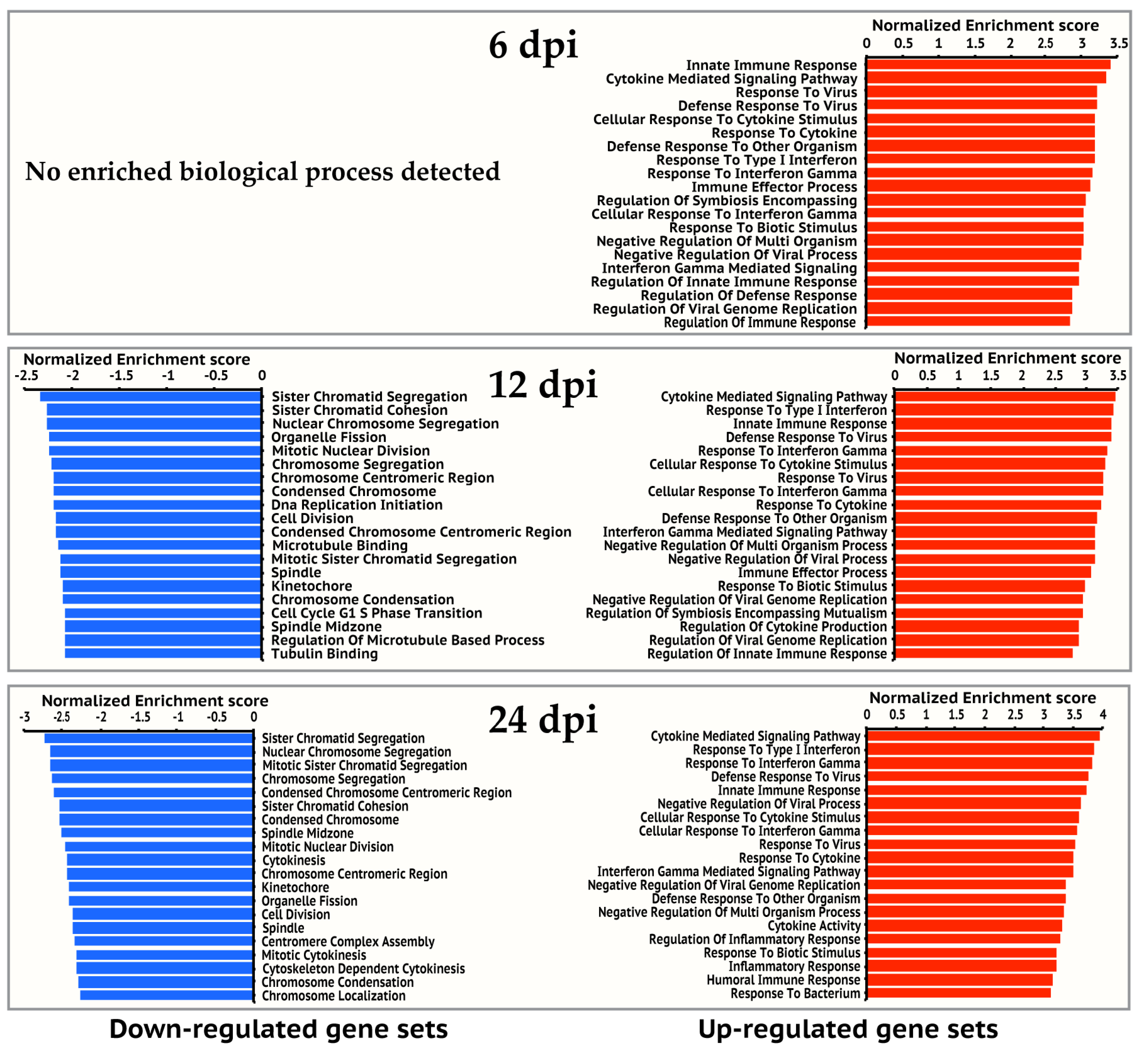Viruses 12 00383 g002