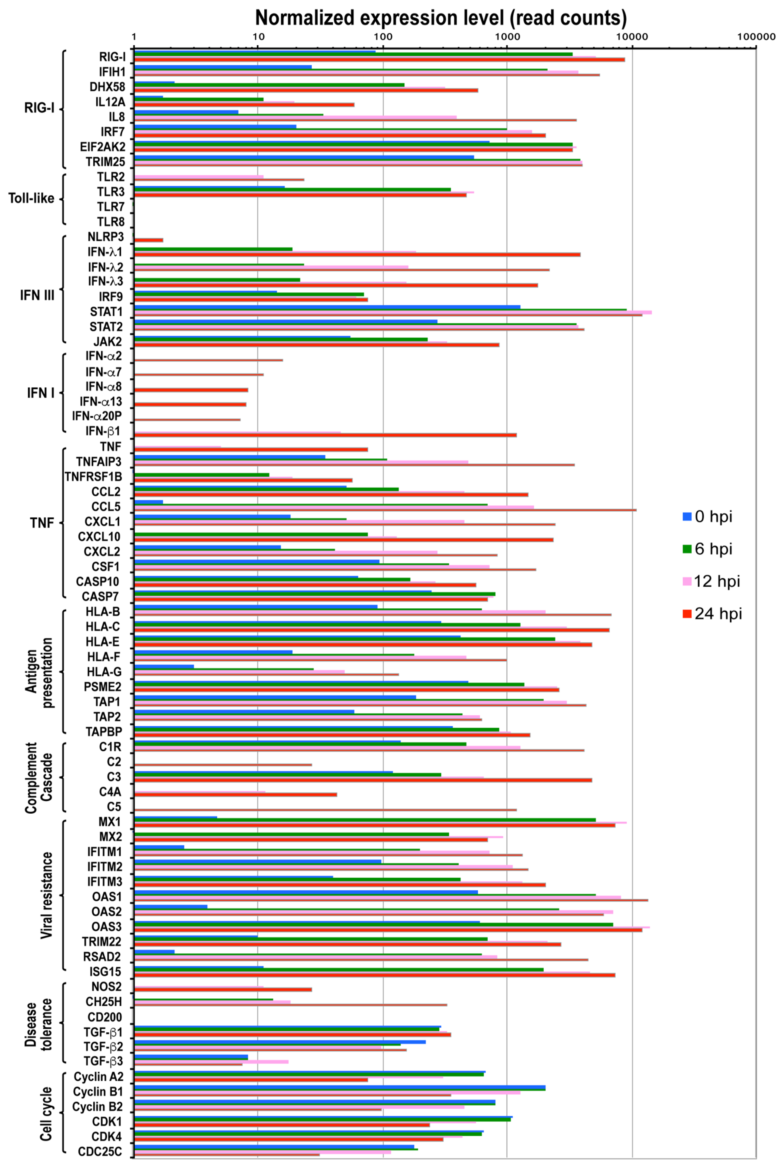 Viruses 12 00383 g003