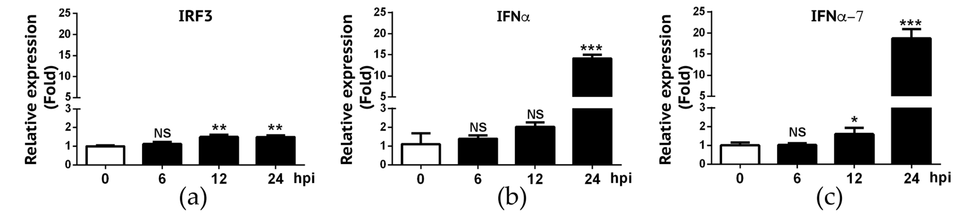 Viruses 12 00383 g005