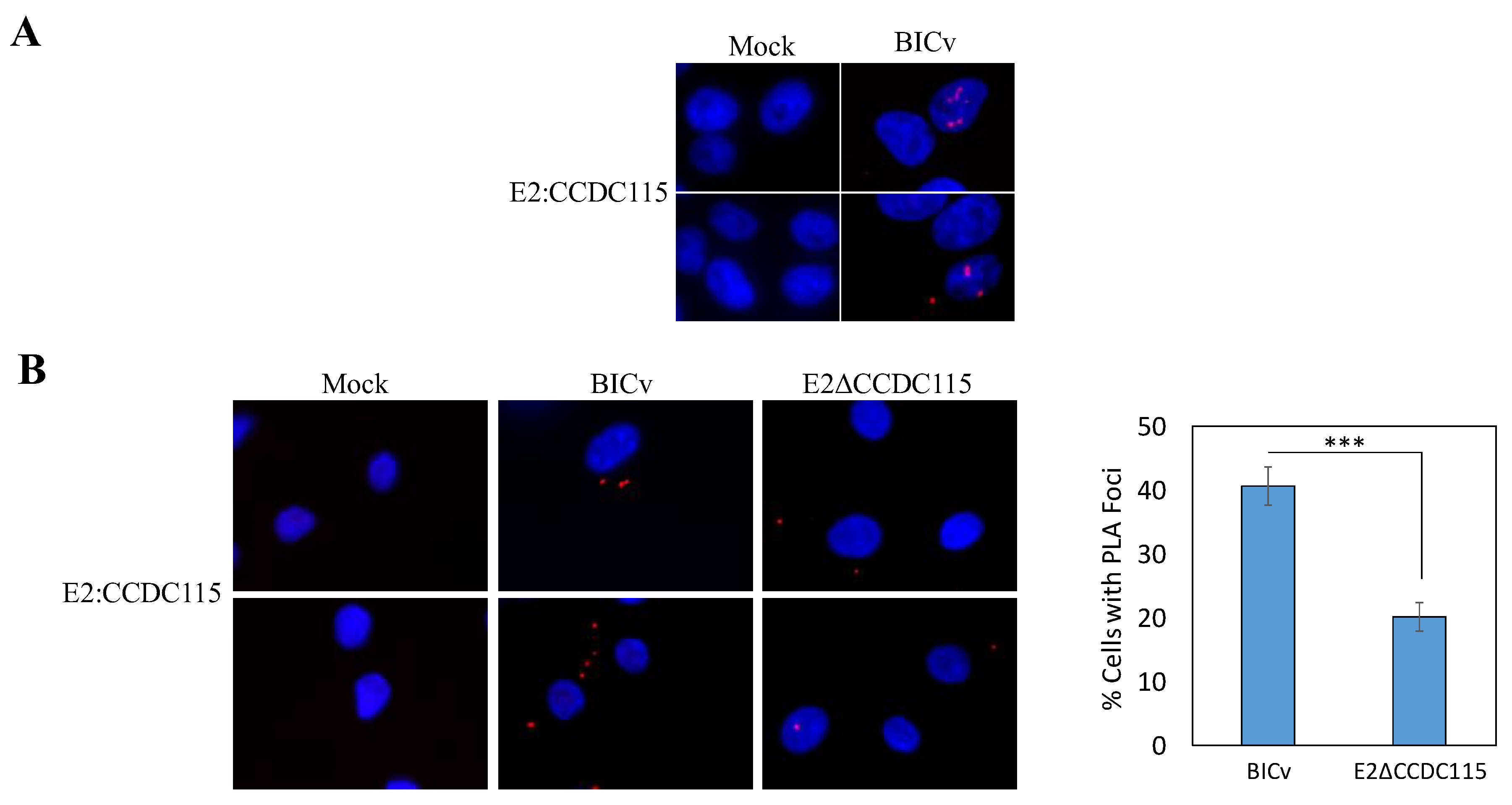 Viruses 12 00388 g001 Viruses 12 00388 g001
