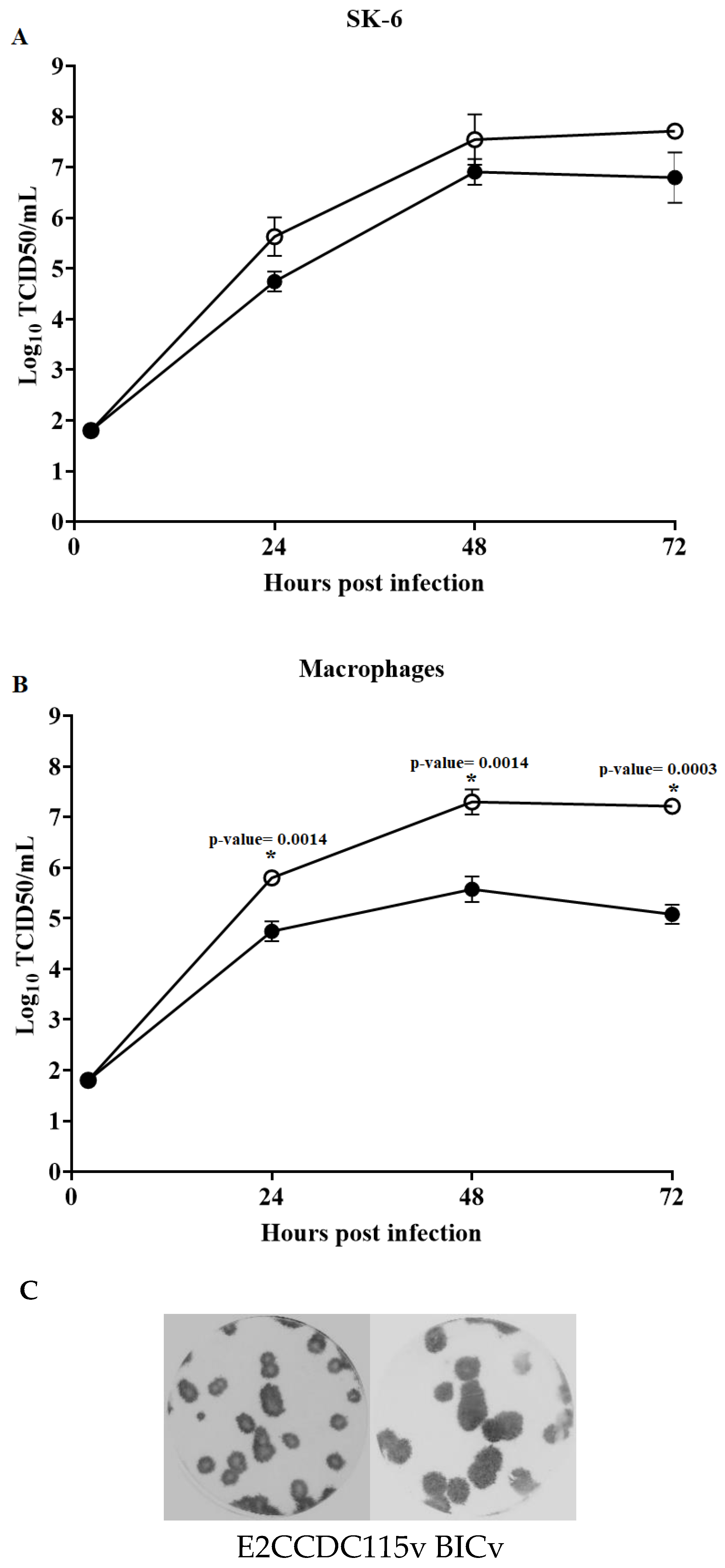 Viruses 12 00388 g003 Viruses 12 00388 g003