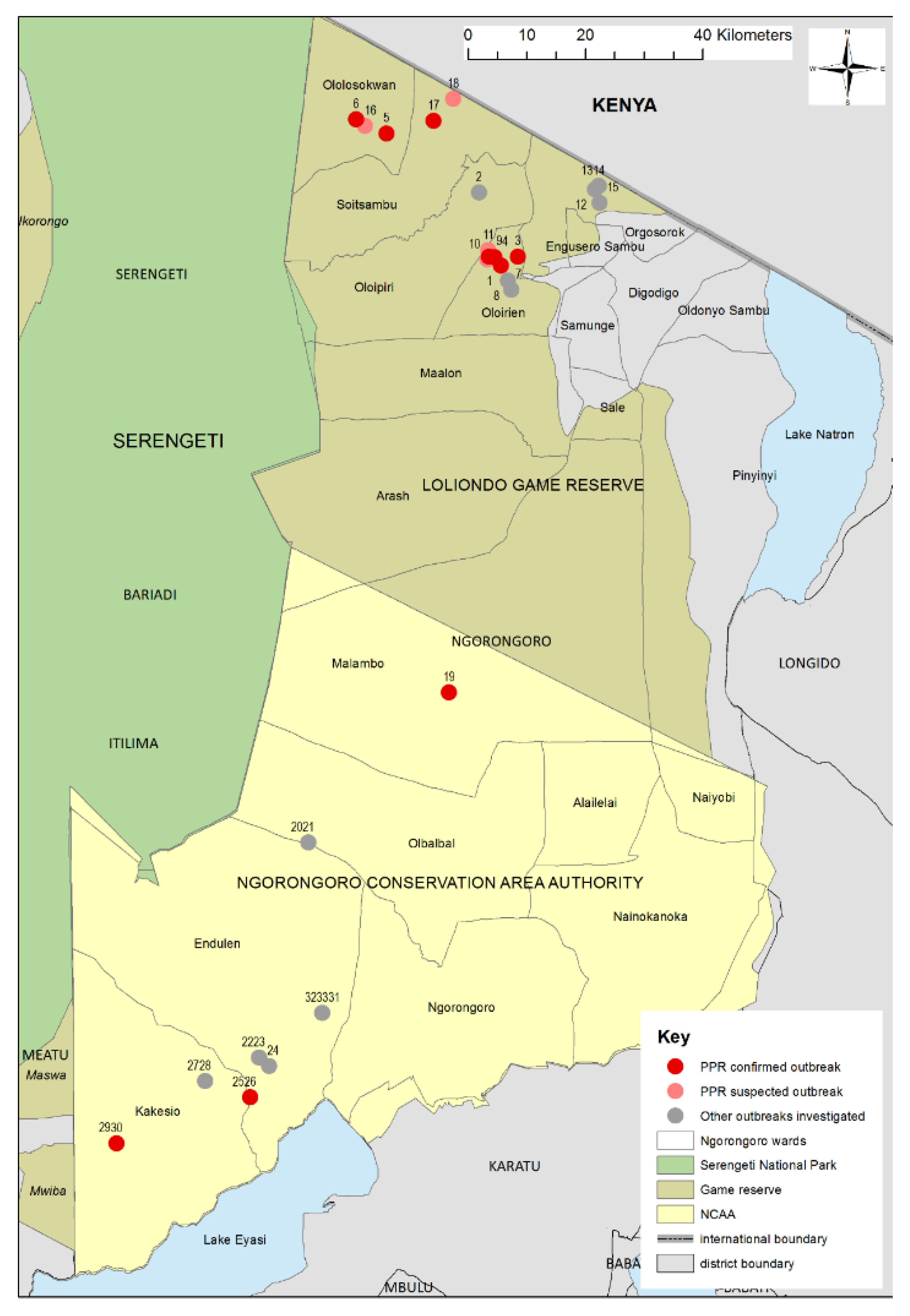 Viruses 12 00389 g002