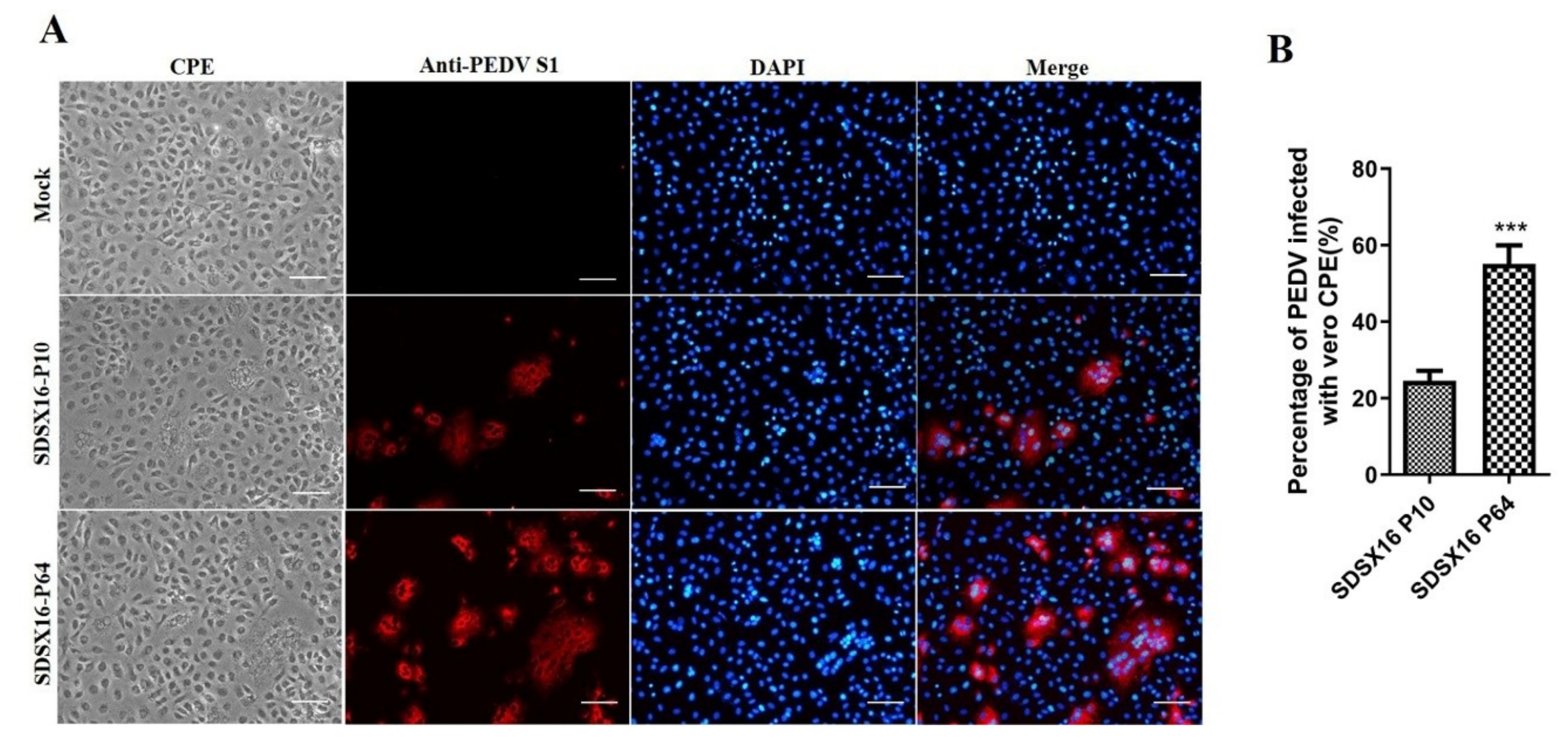 Viruses 12 00391 g001