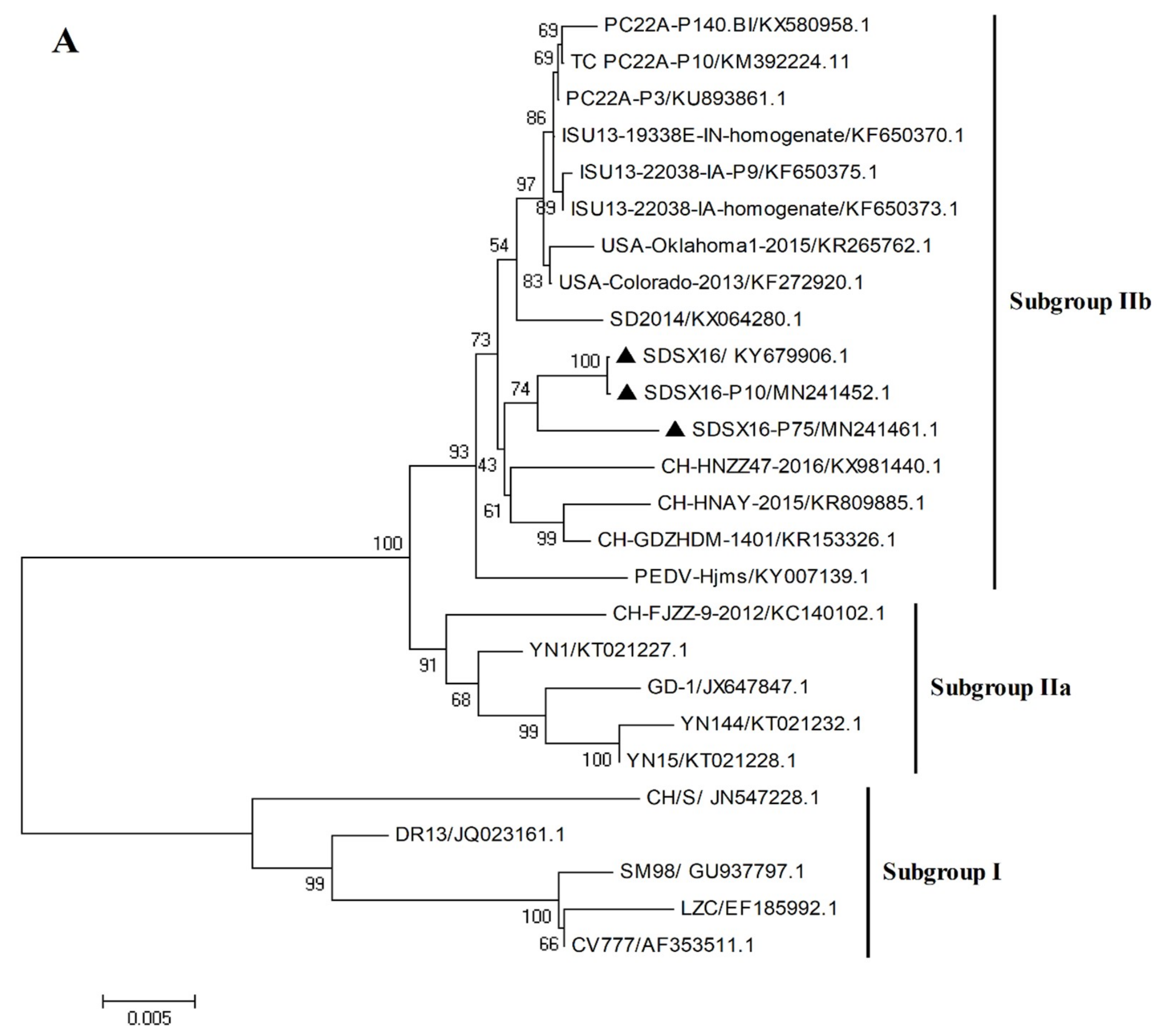 Viruses 12 00391 g004a
