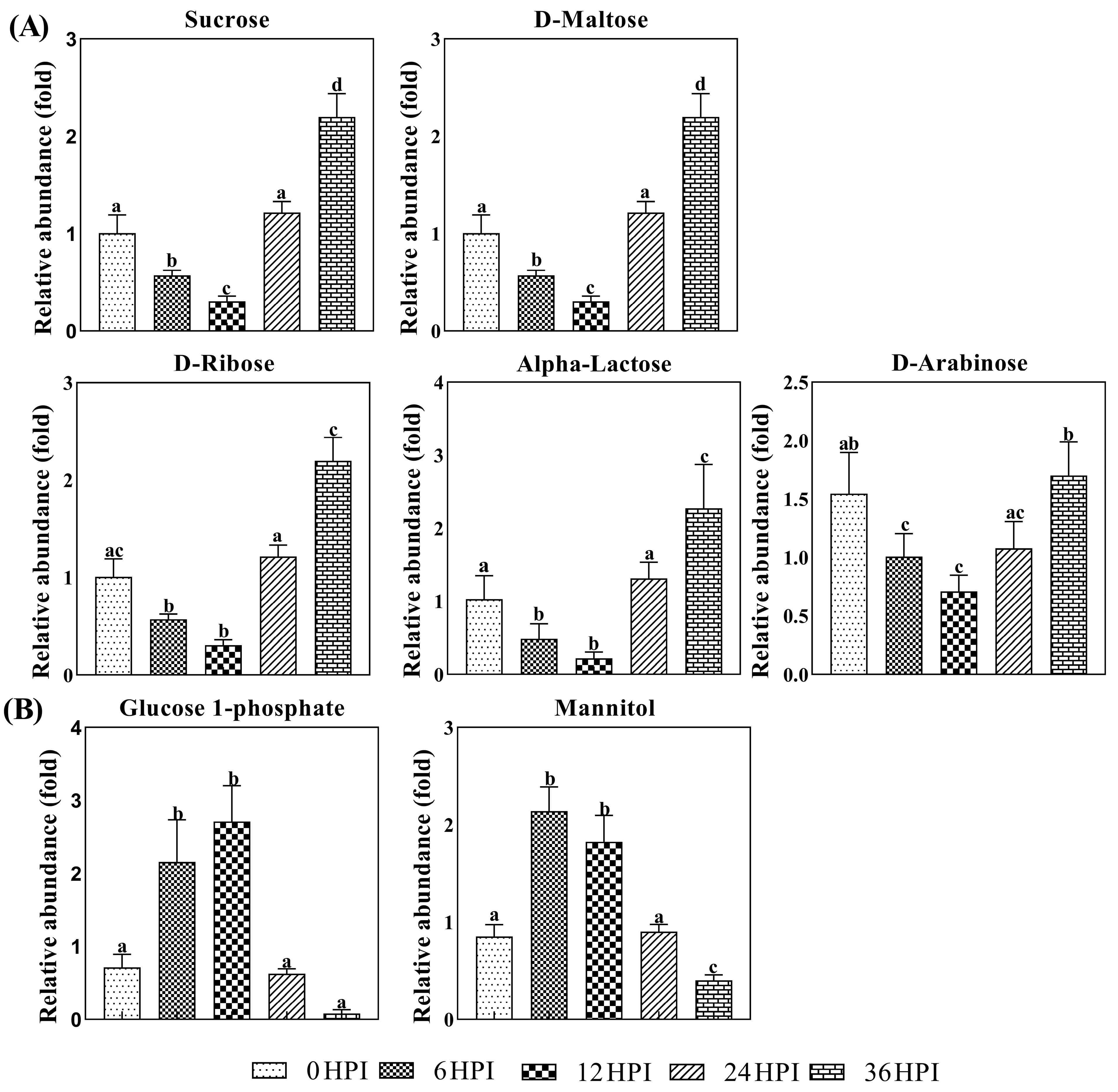 Viruses 12 00393 g005 Viruses 12 00393 g005