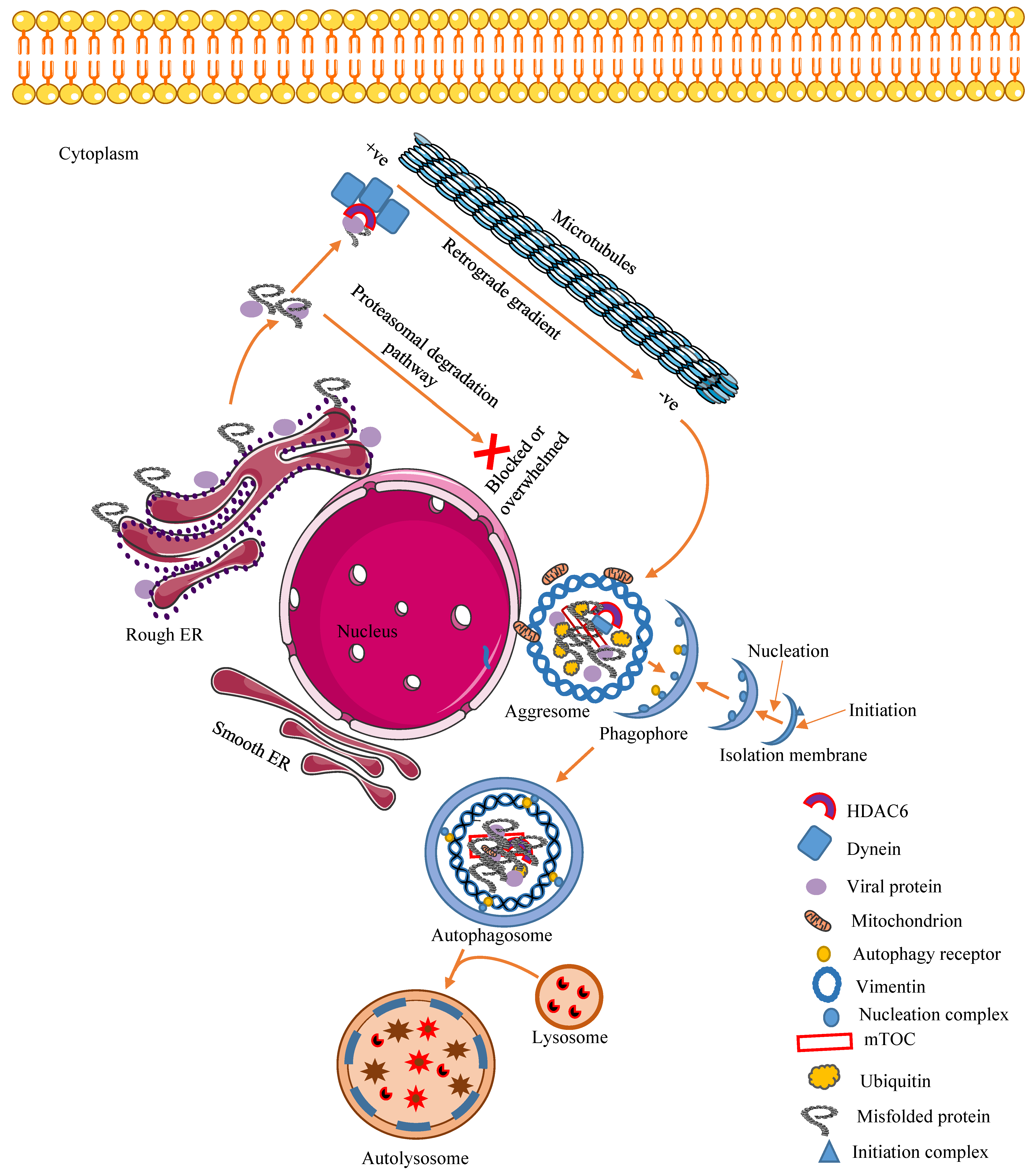 Viruses 12 00399 g001 Viruses 12 00399 g001