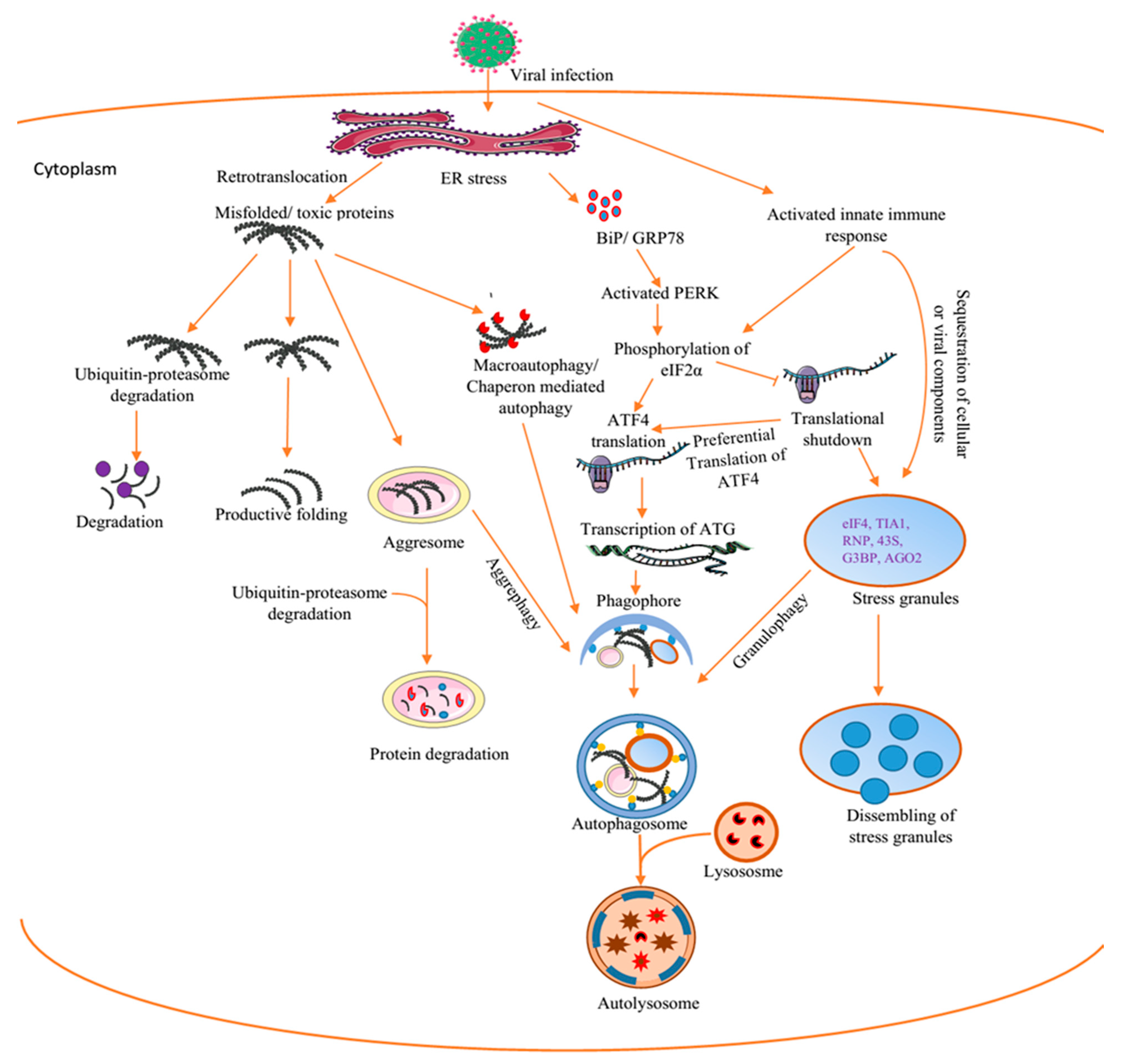Viruses 12 00399 g002 Viruses 12 00399 g002