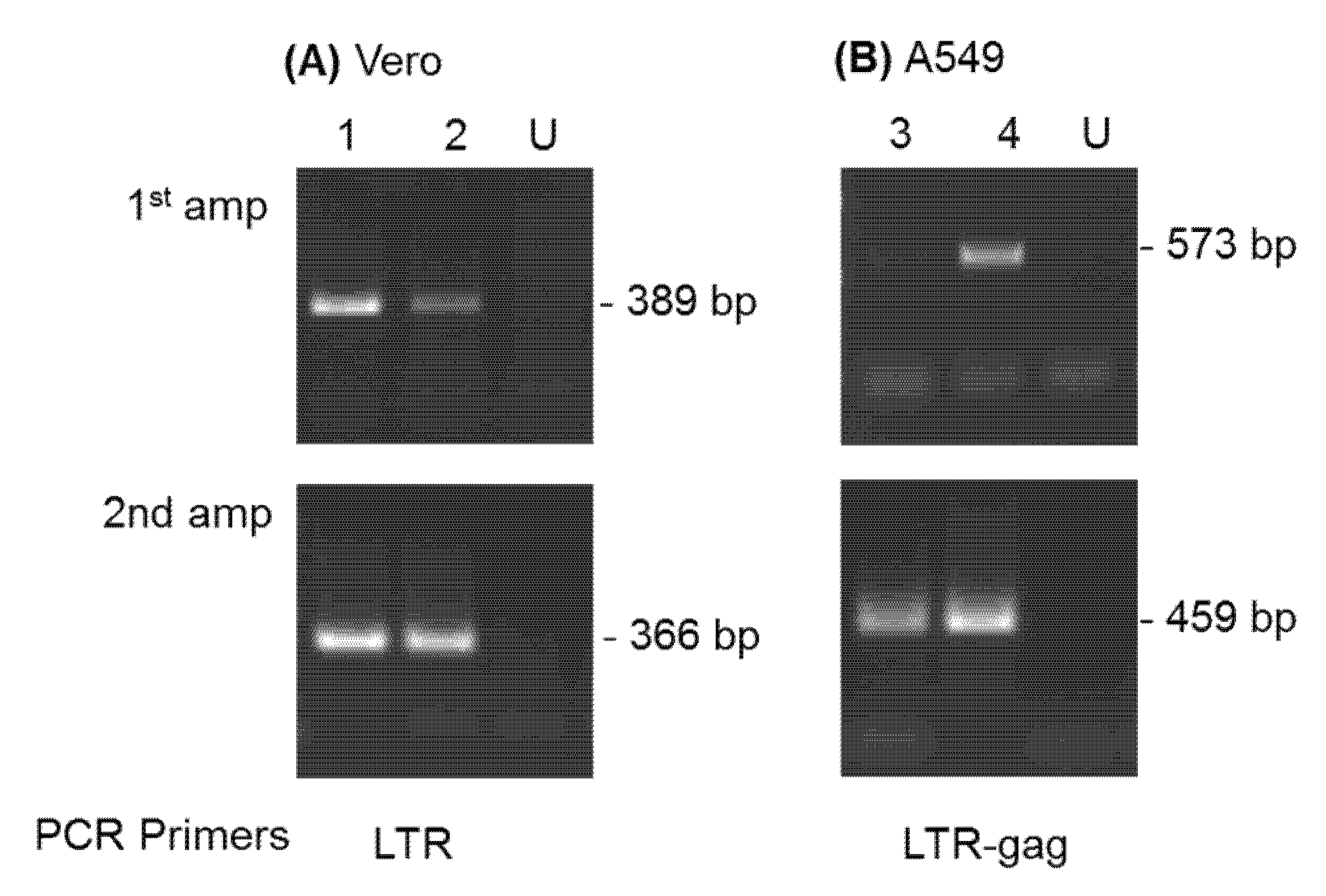 Viruses 12 00403 g003 Viruses 12 00403 g003