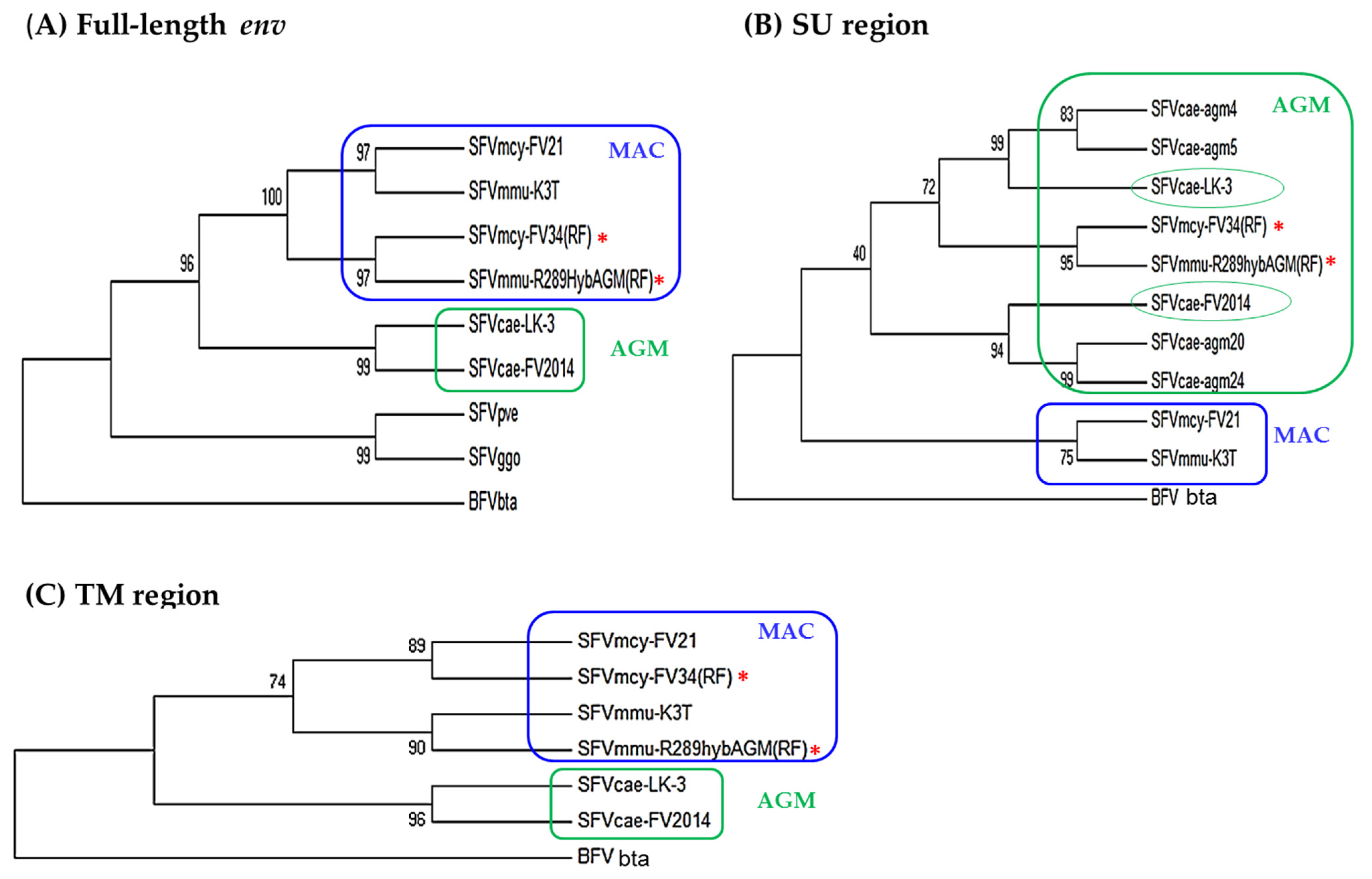 Viruses 12 00403 g004 Viruses 12 00403 g004
