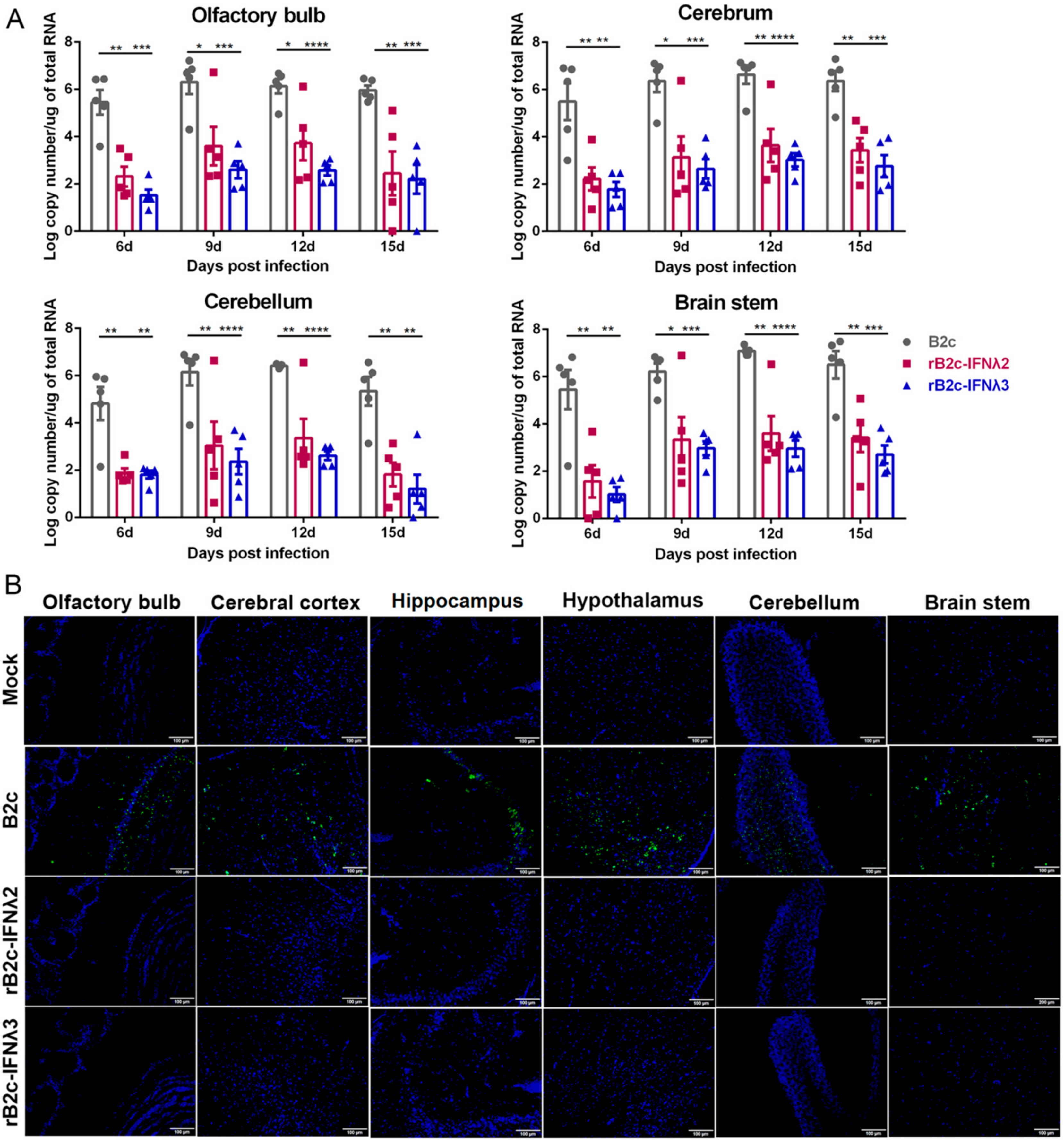Viruses 12 00405 g004 Viruses 12 00405 g004