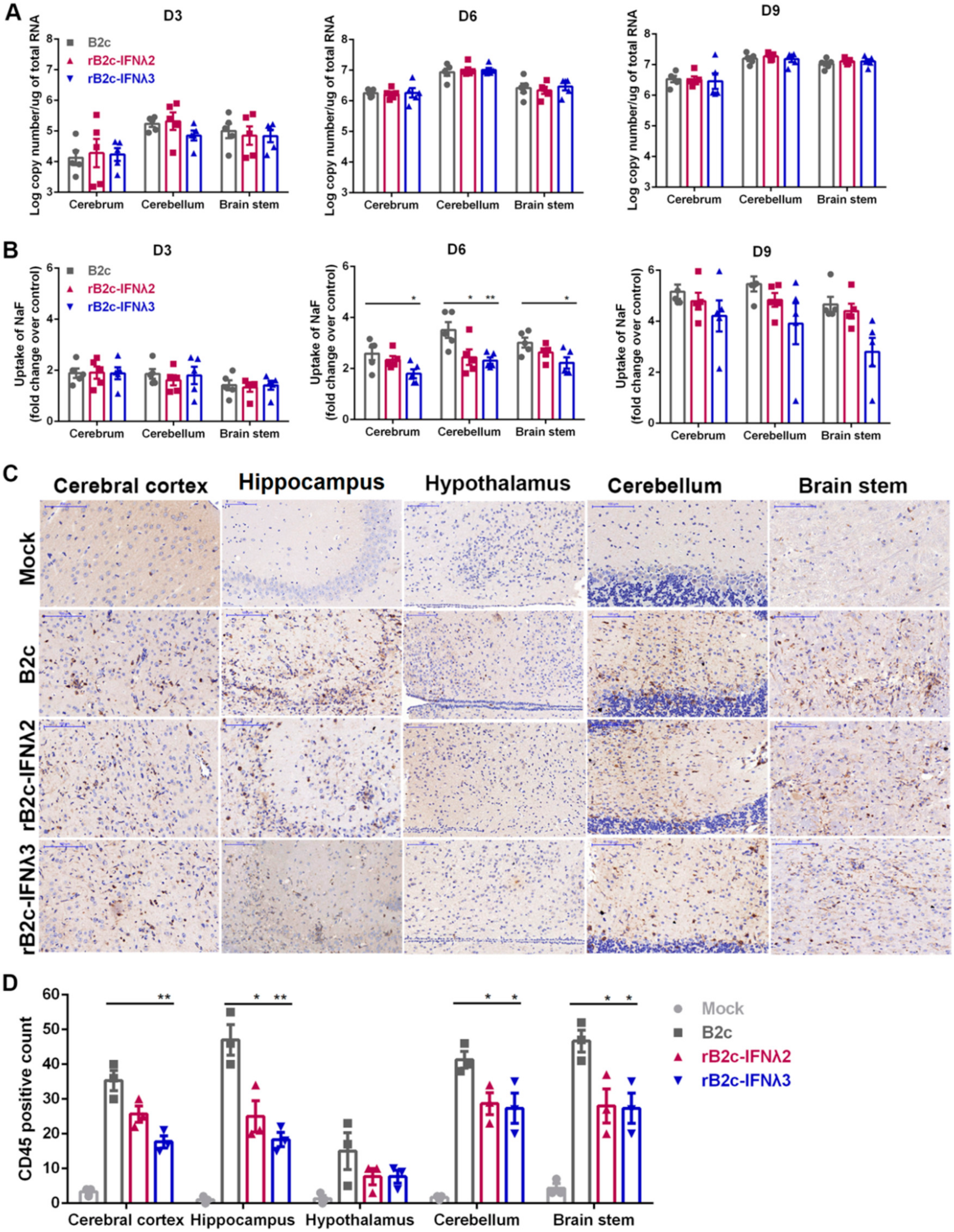 Viruses 12 00405 g007 Viruses 12 00405 g007
