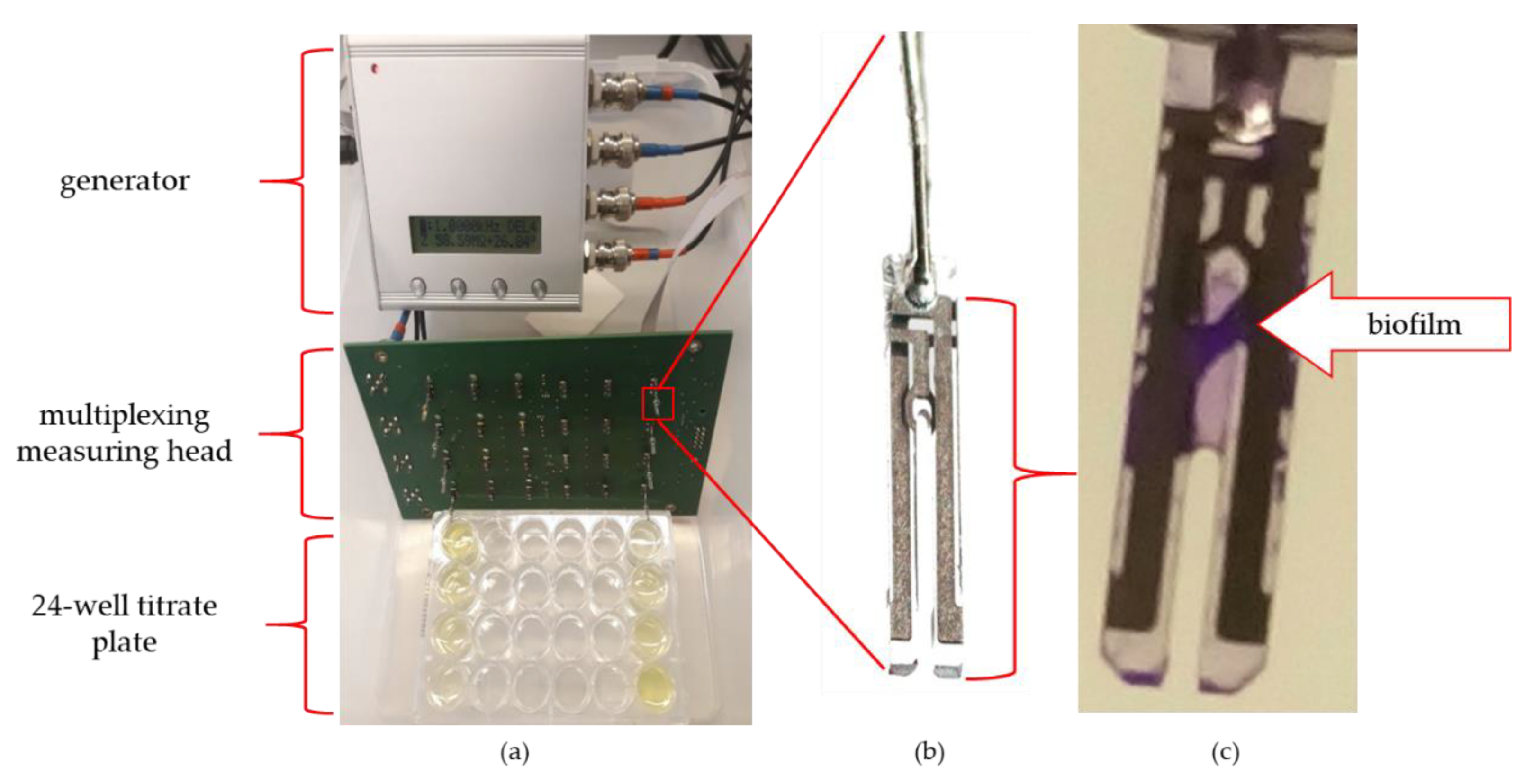 Viruses 12 00407 g001