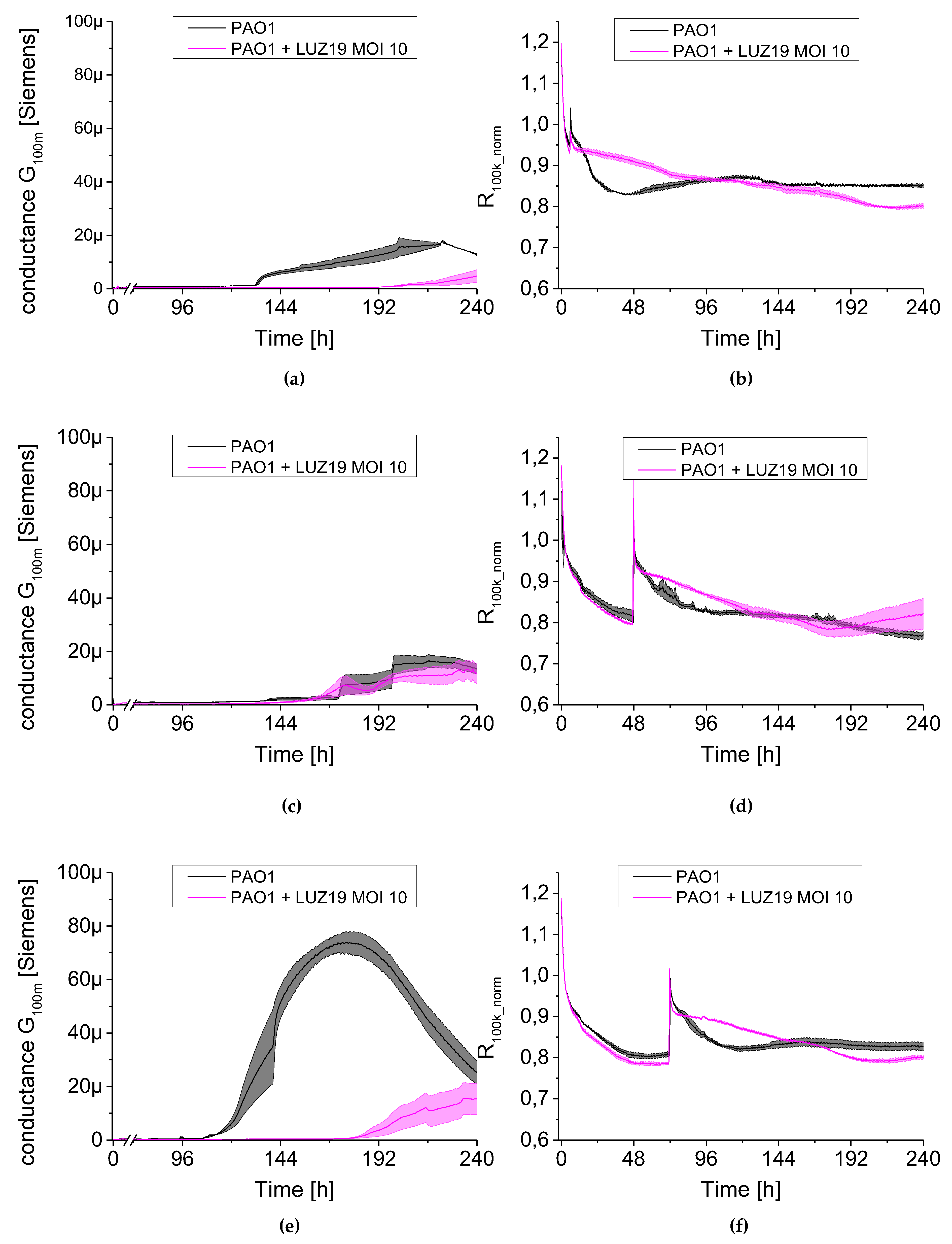 Viruses 12 00407 g010