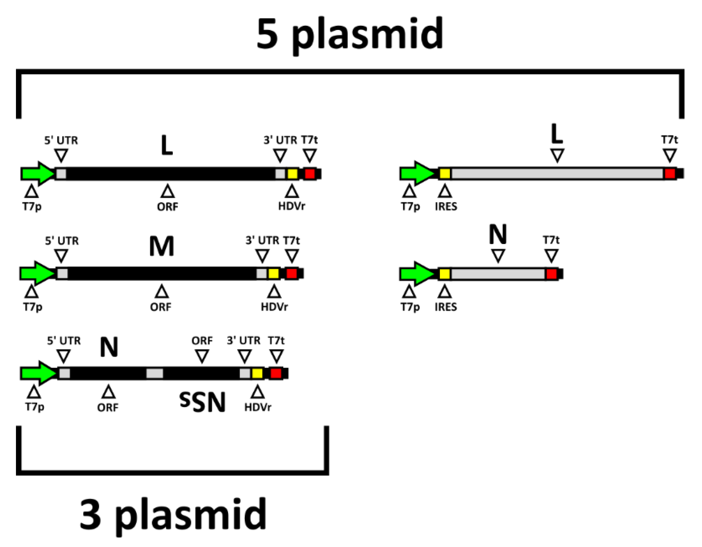 Viruses 12 00411 g002