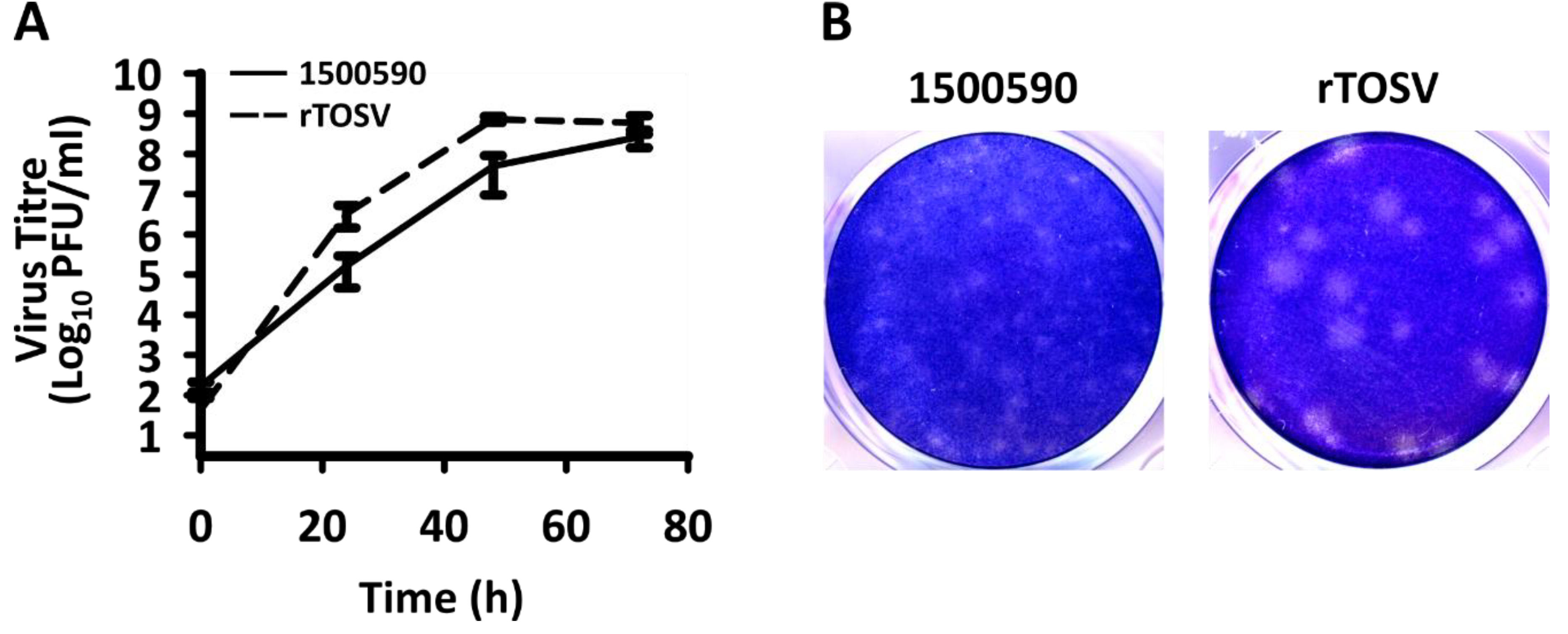 Viruses 12 00411 g003