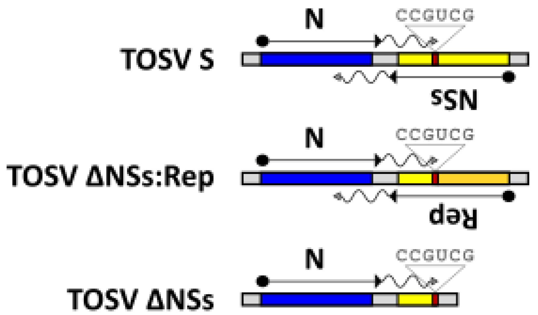 Viruses 12 00411 g004