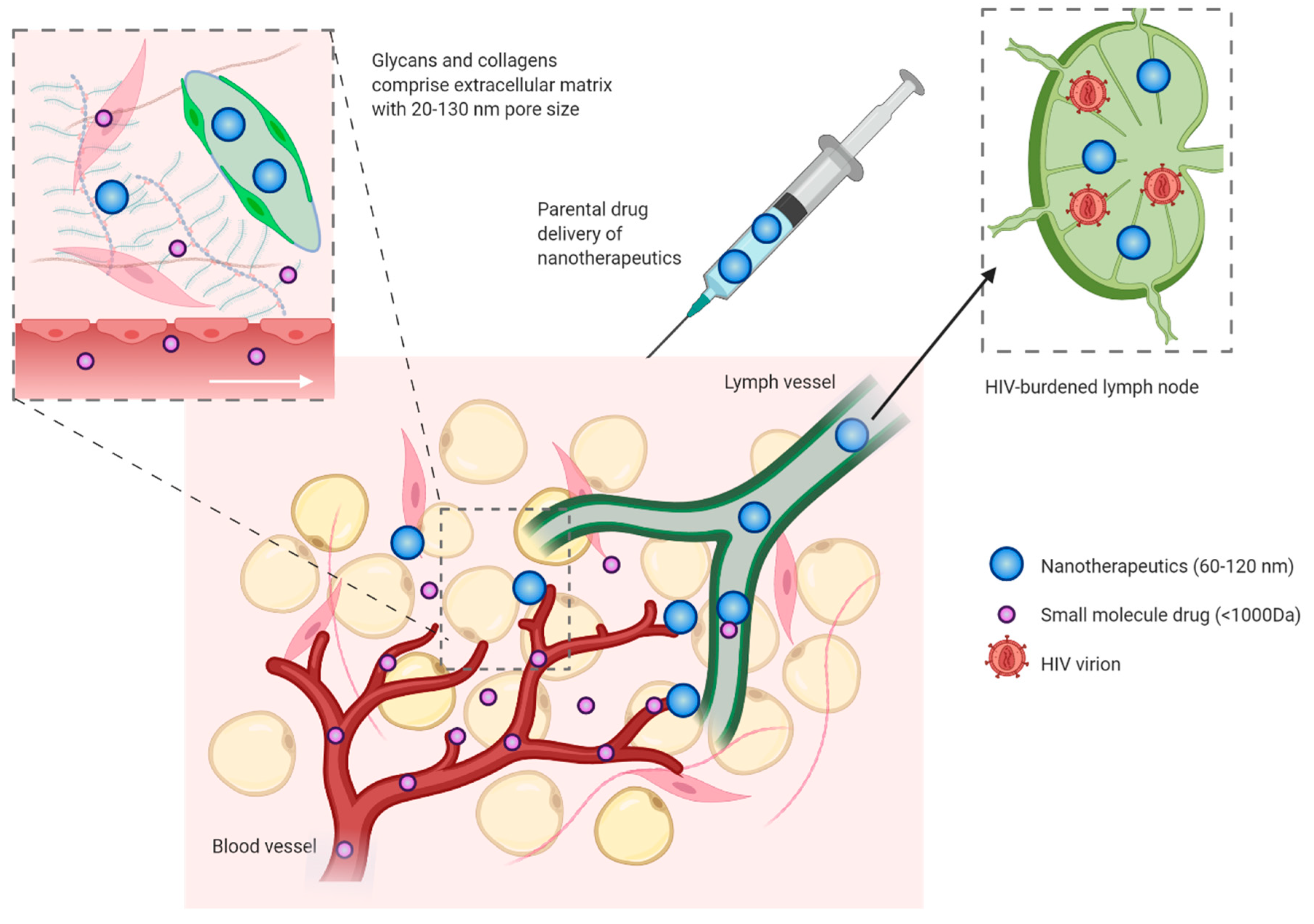 Viruses 12 00412 g002 Viruses 12 00412 g002