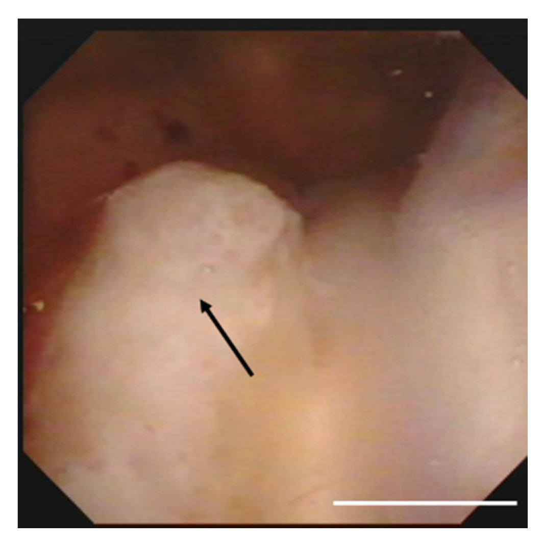 Viruses 12 00416 g003 Viruses 12 00416 g003