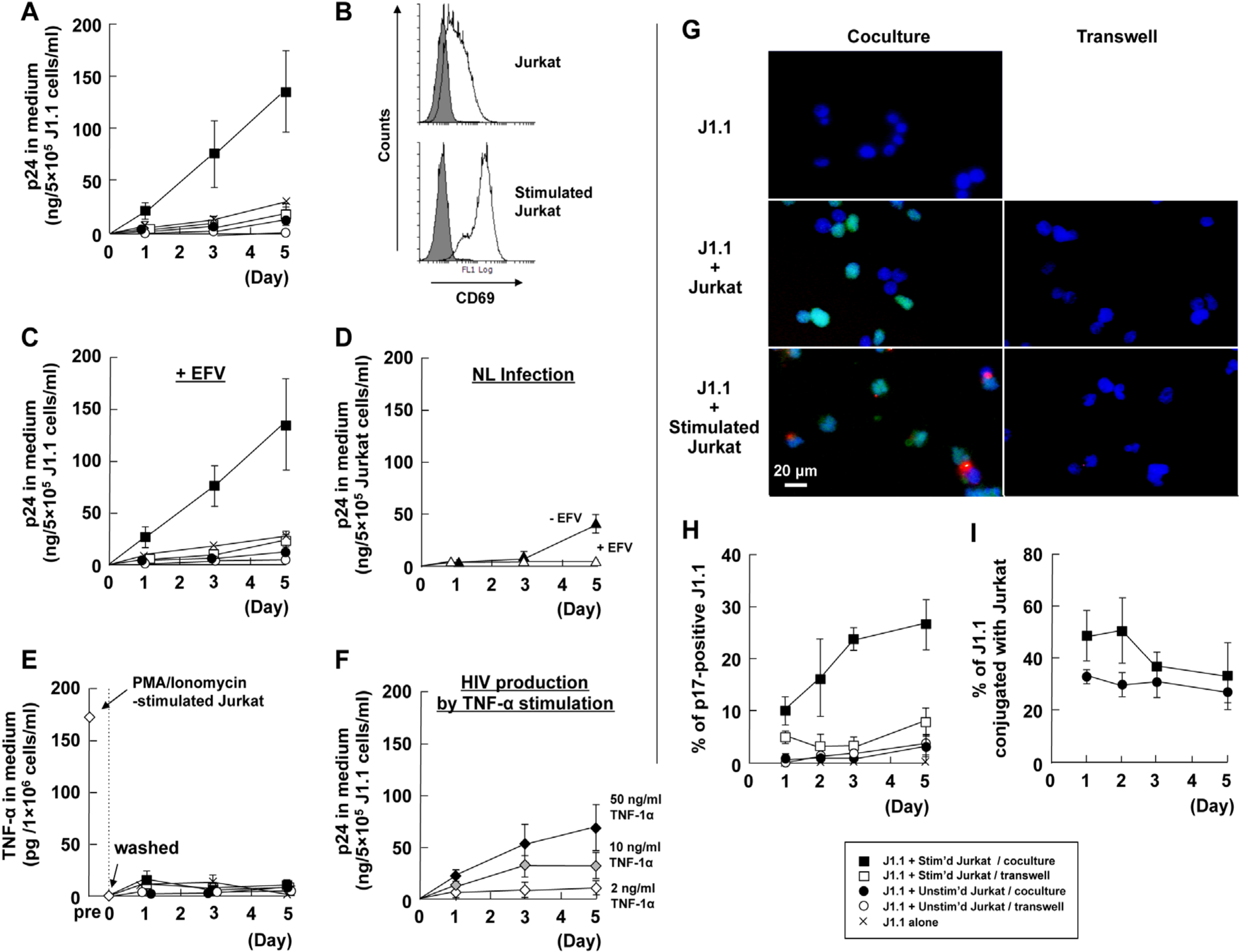 Viruses 12 00417 g001
