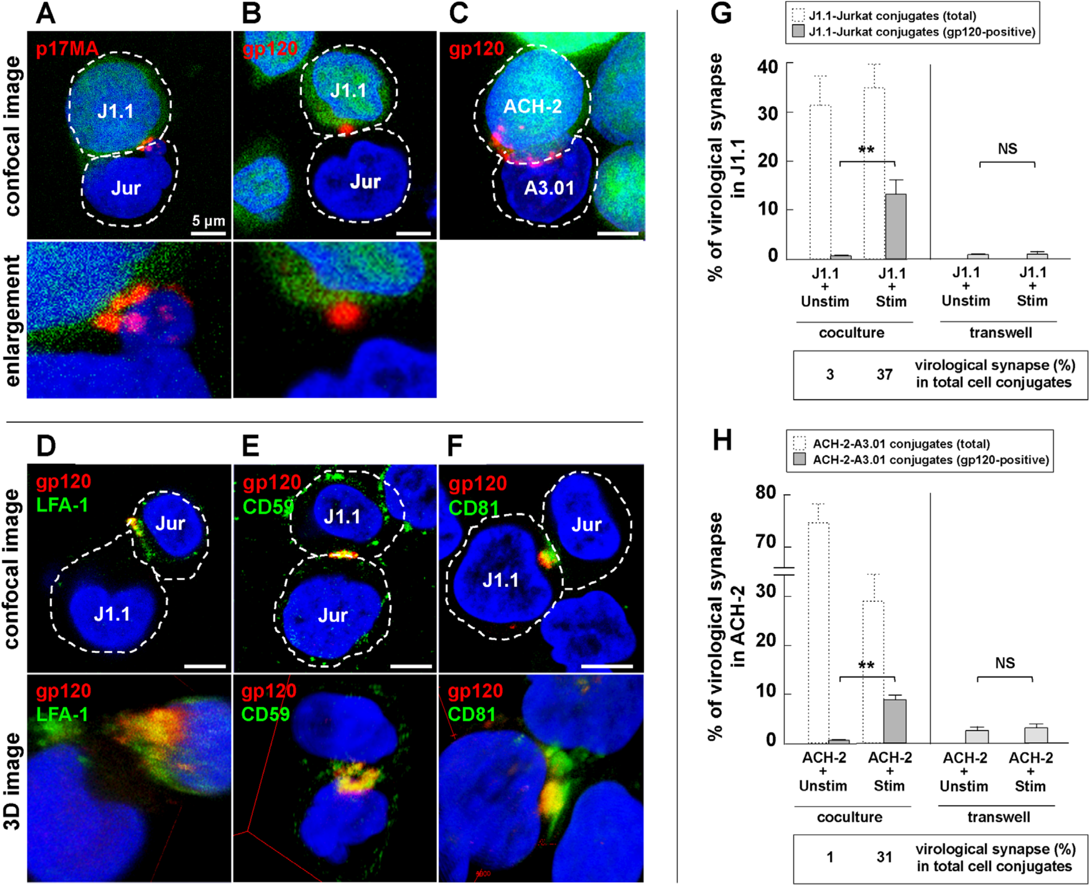 Viruses 12 00417 g004