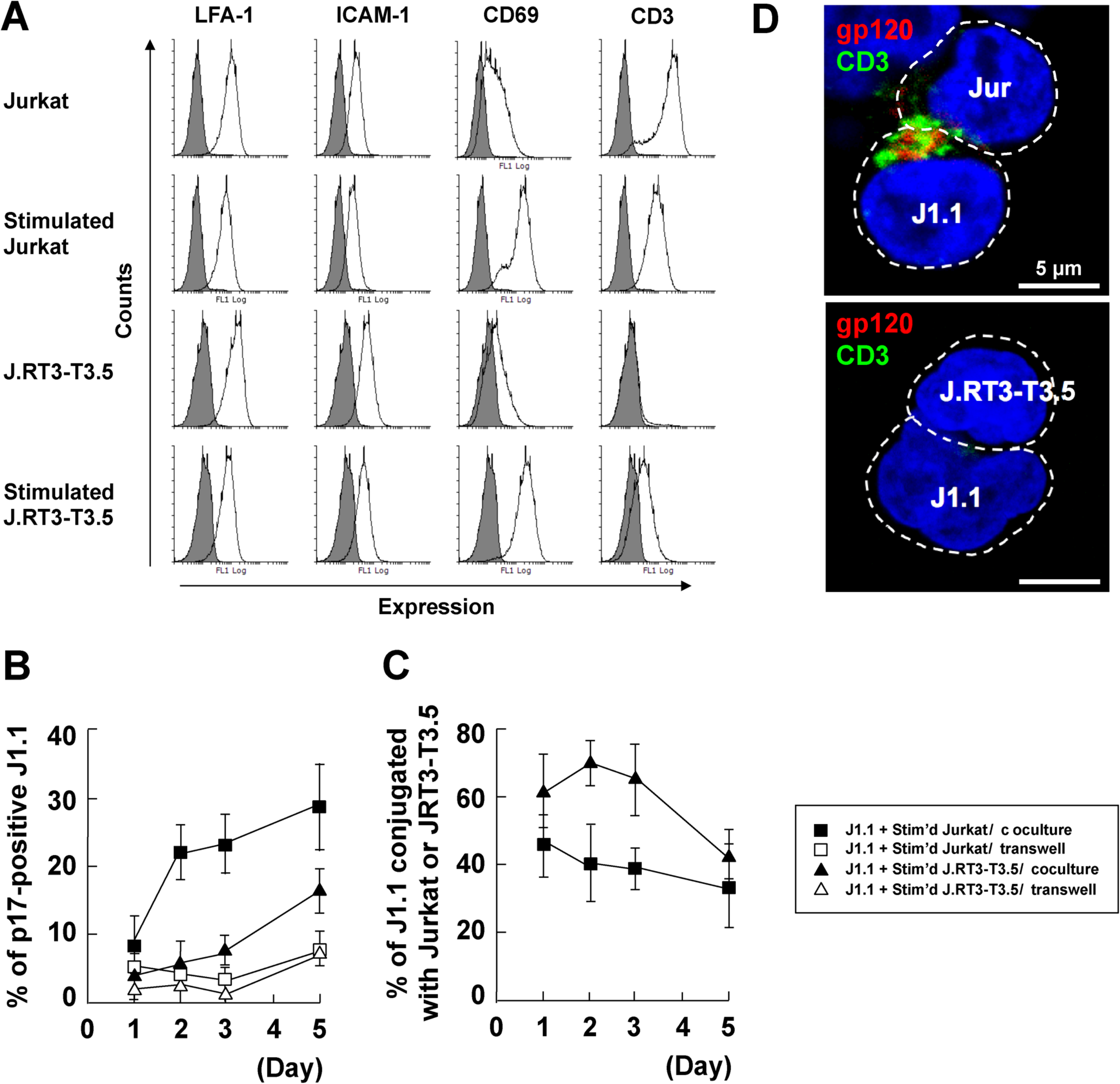 Viruses 12 00417 g005