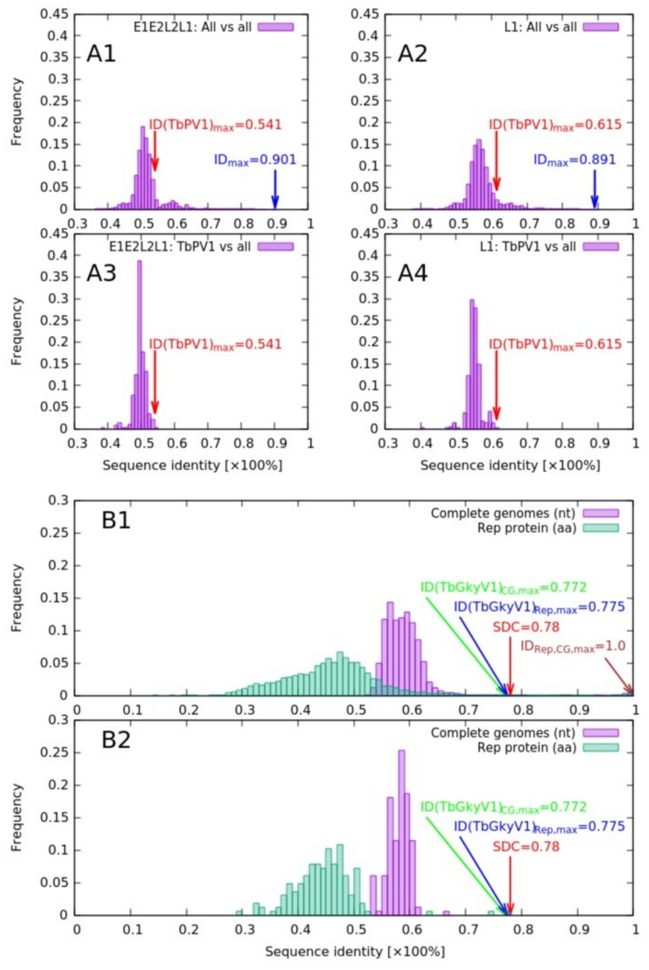 Viruses 12 00422 g003 Viruses 12 00422 g003