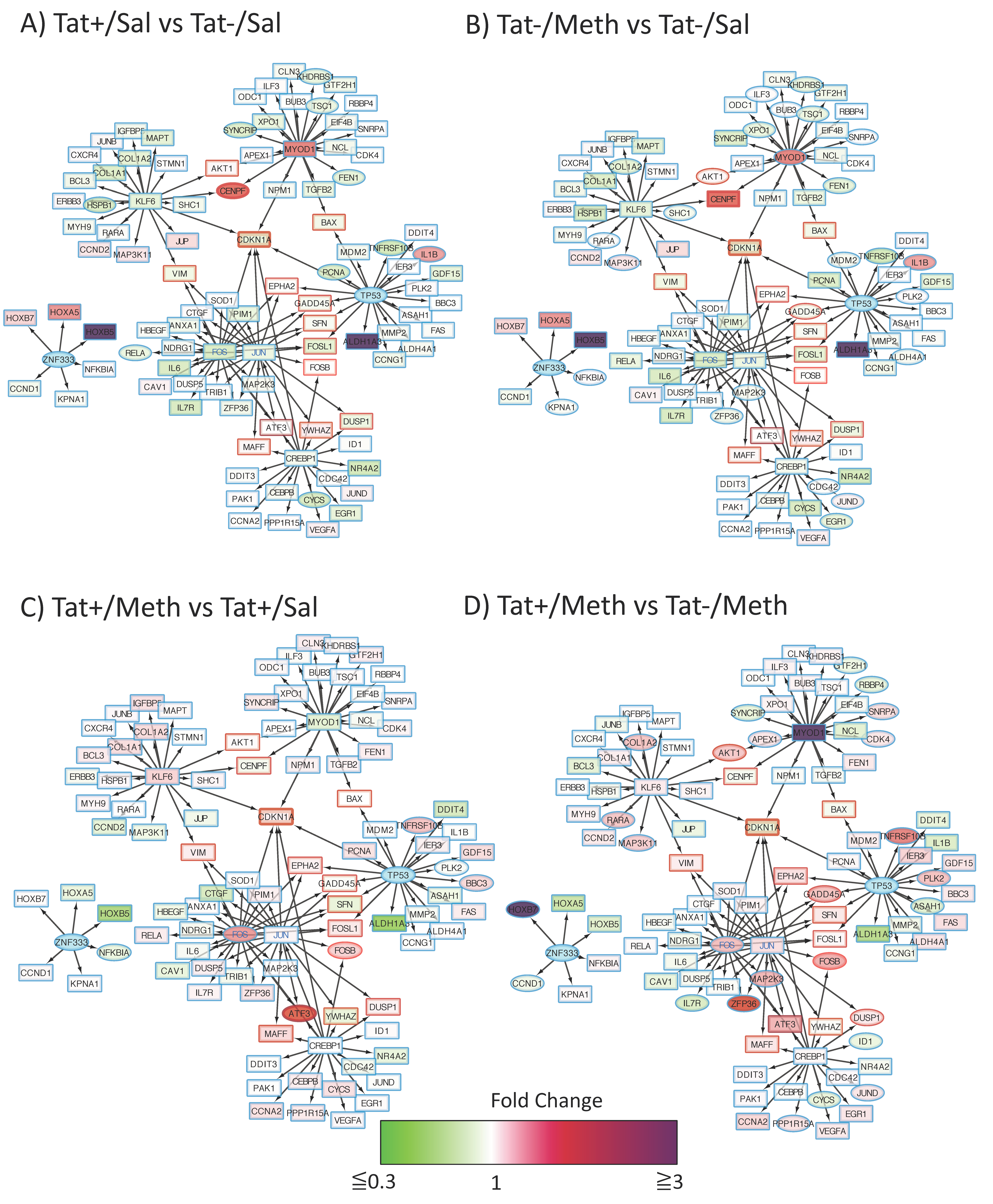 Viruses 12 00426 g003 Viruses 12 00426 g003