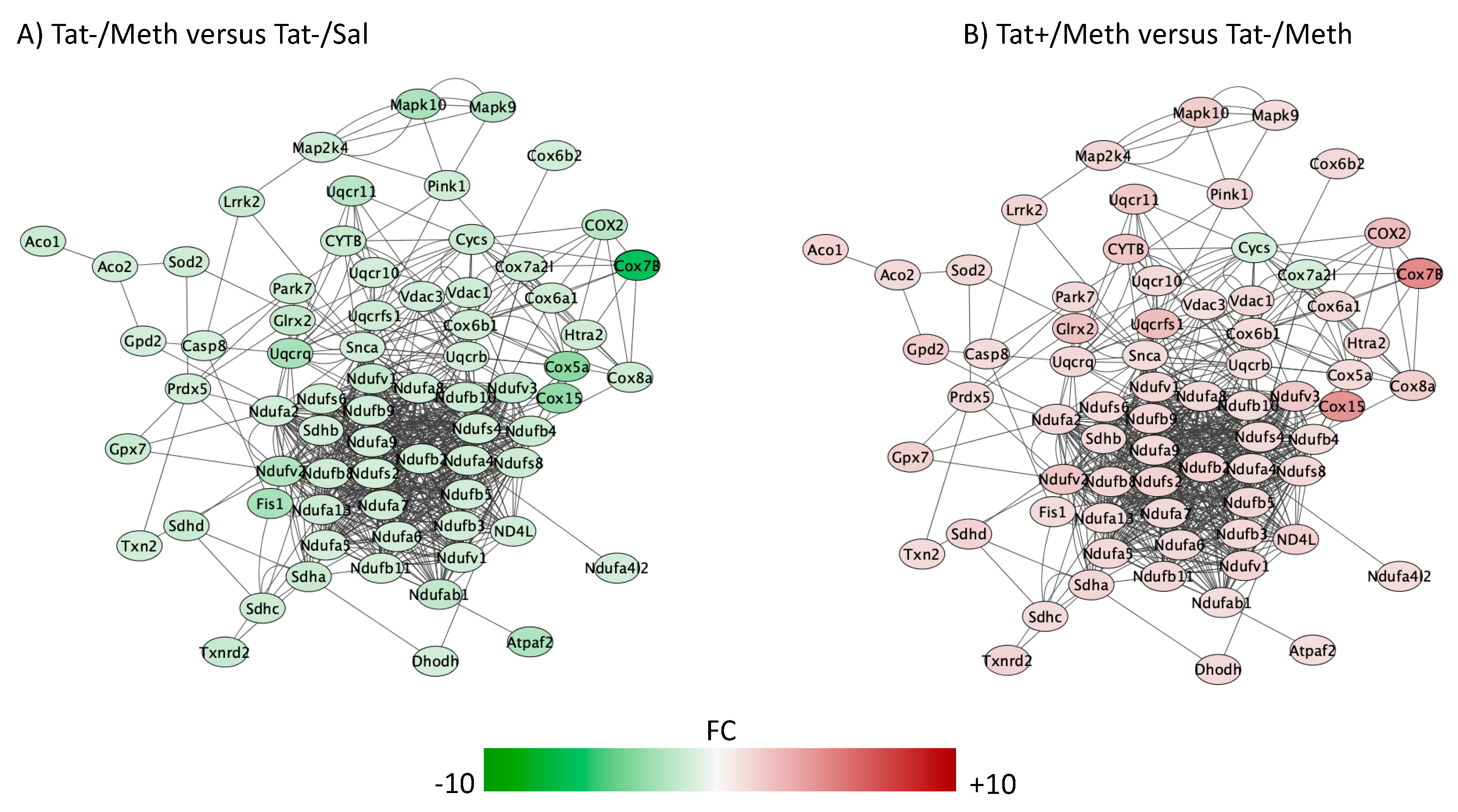 Viruses 12 00426 g004 Viruses 12 00426 g004