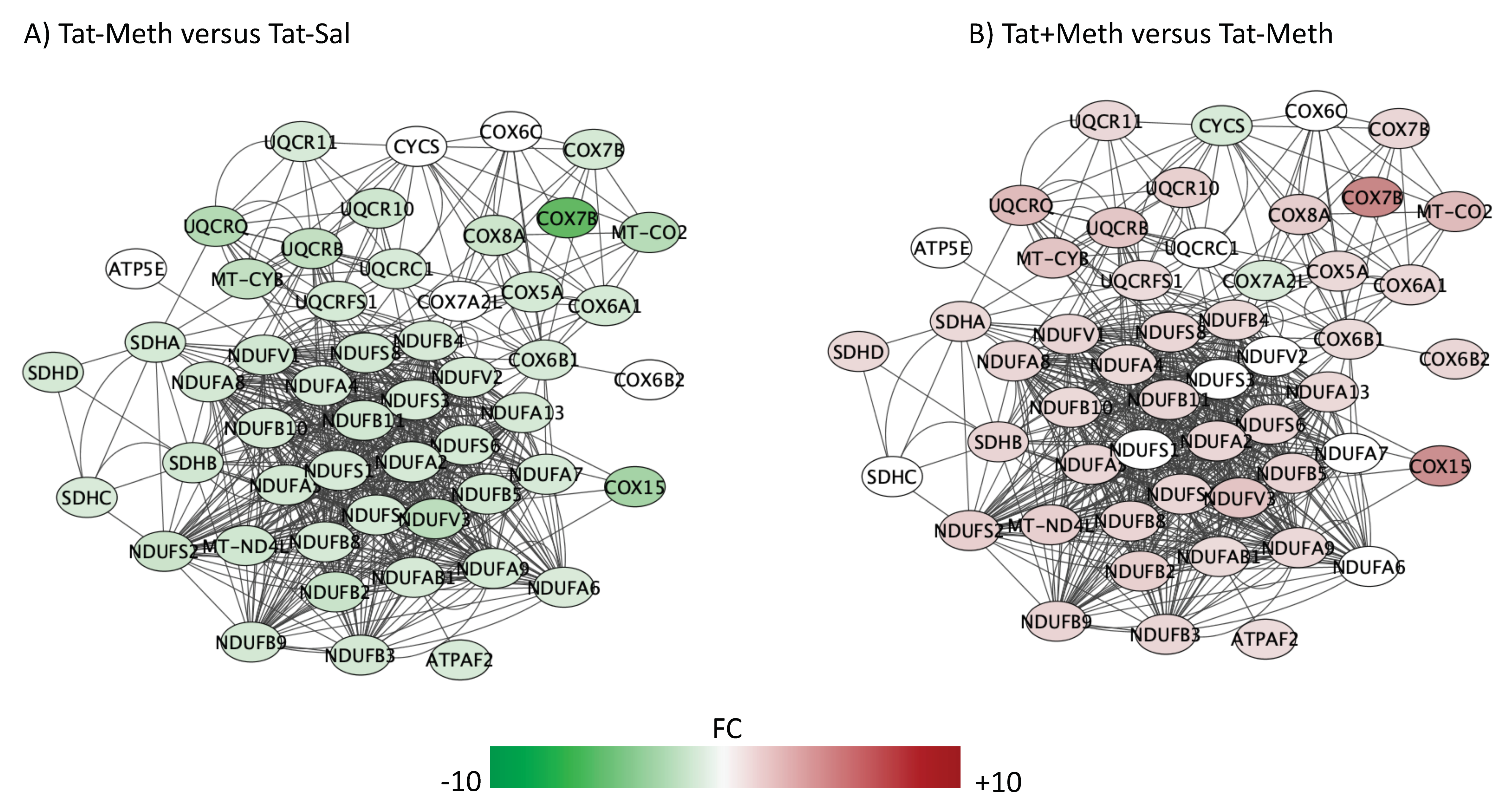 Viruses 12 00426 g005 Viruses 12 00426 g005