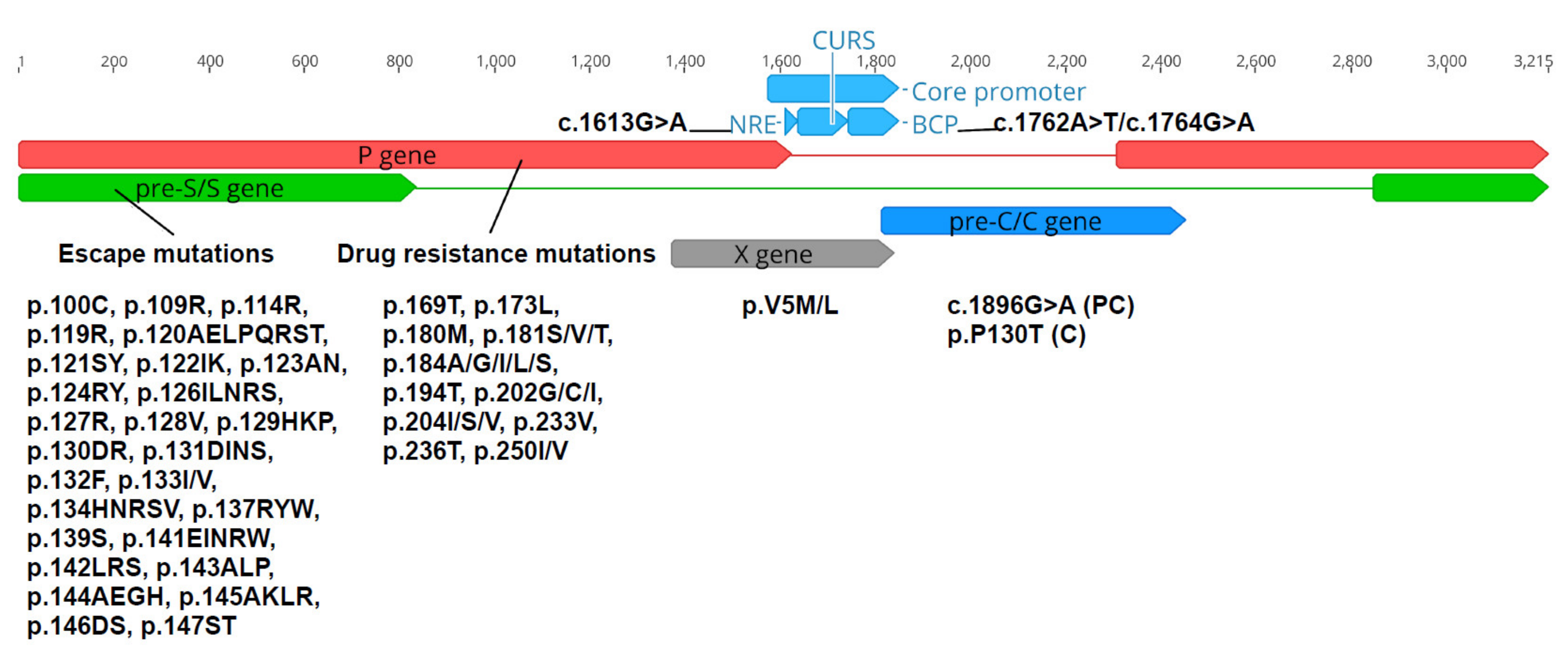 Viruses 12 00427 g002