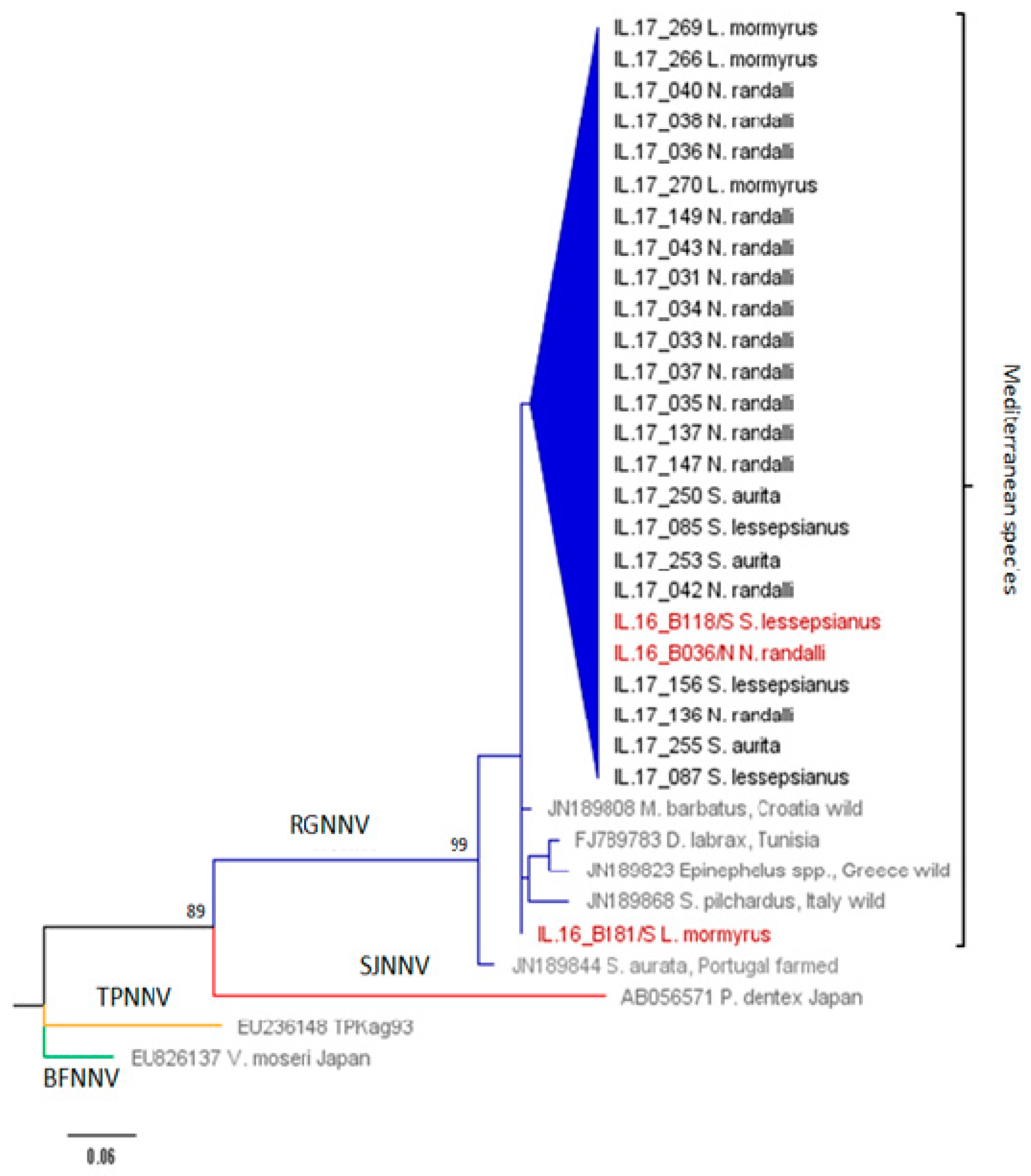 Viruses 12 00430 g002 Viruses 12 00430 g002