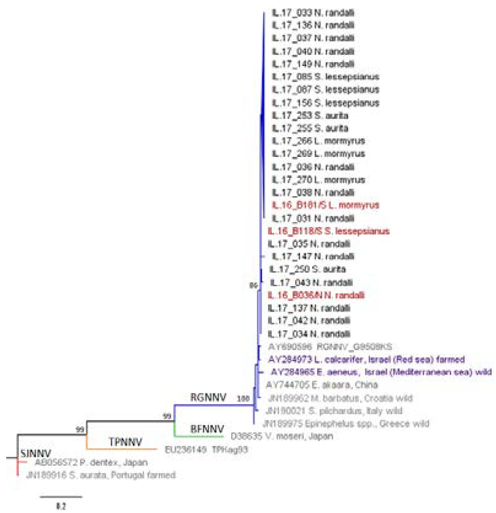 Viruses 12 00430 g003 Viruses 12 00430 g003