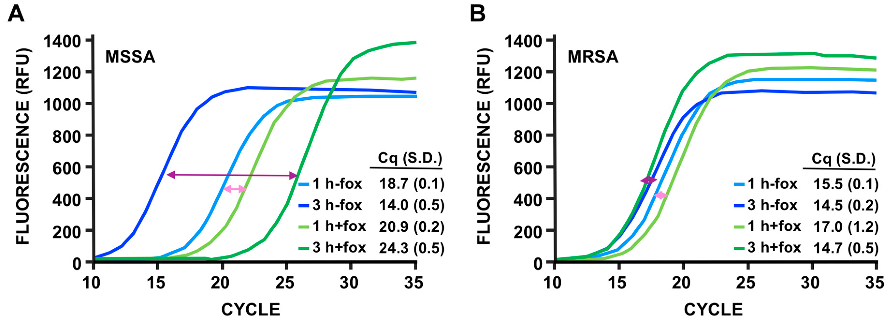 Viruses 12 00435 g005