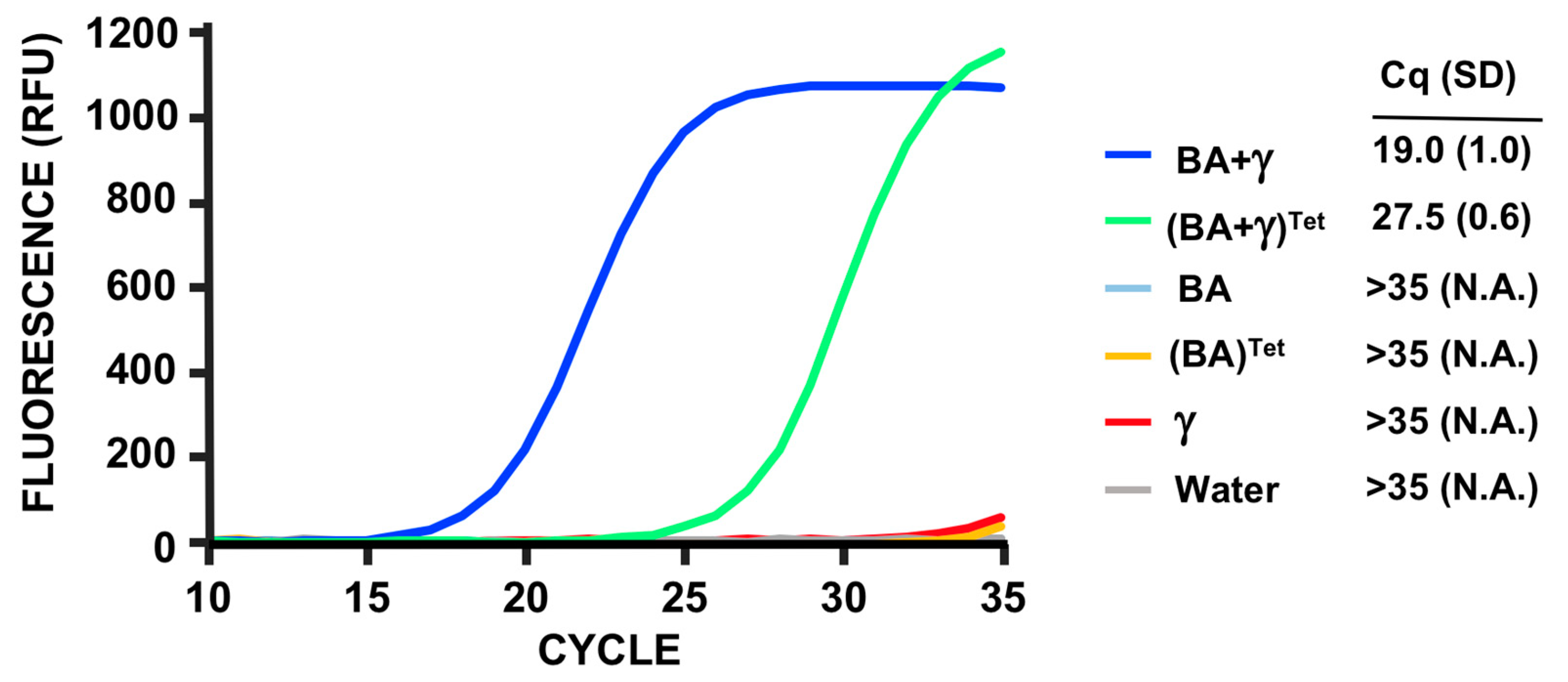 Viruses 12 00435 g006