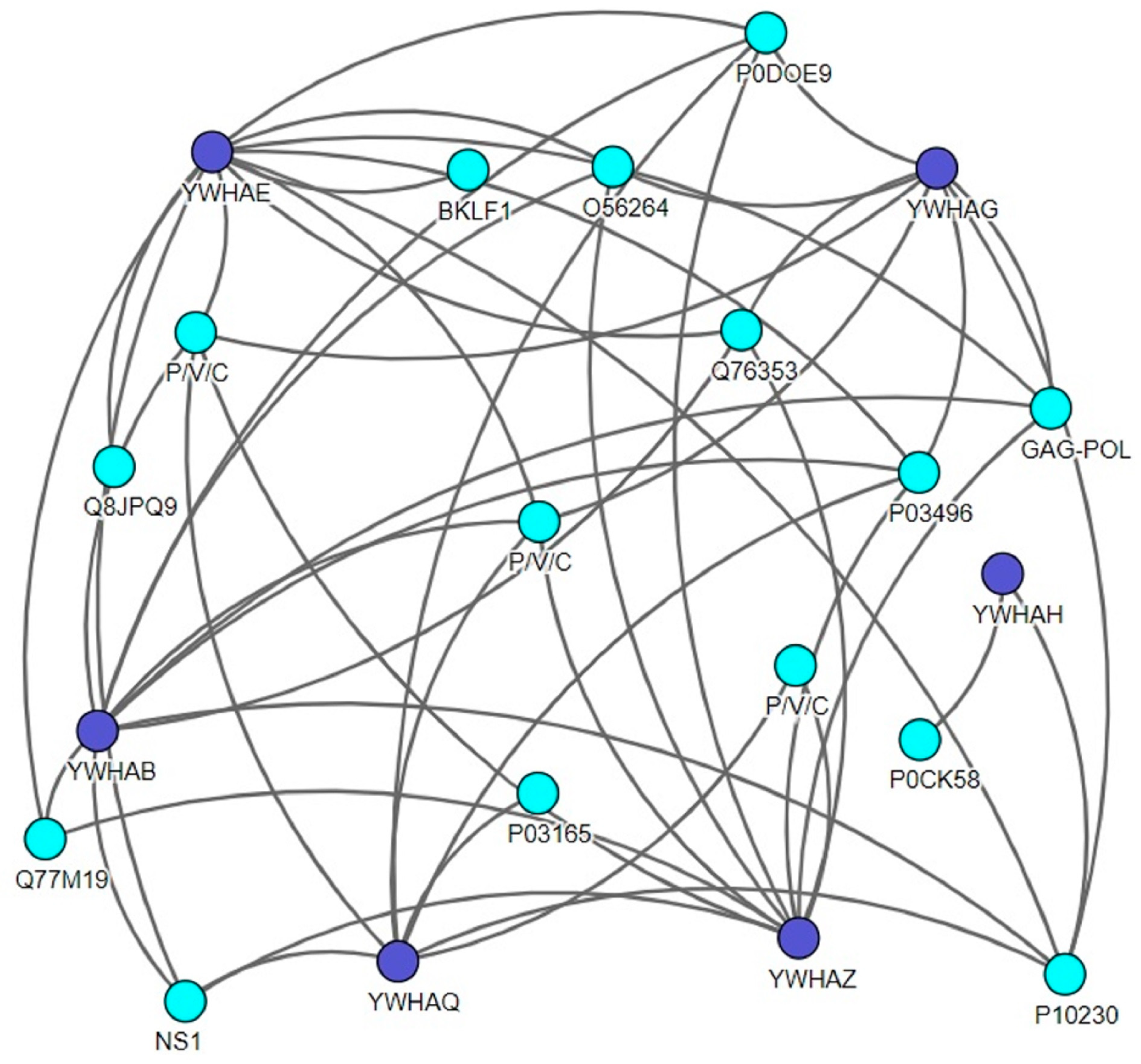 Viruses 12 00436 g001 Viruses 12 00436 g001