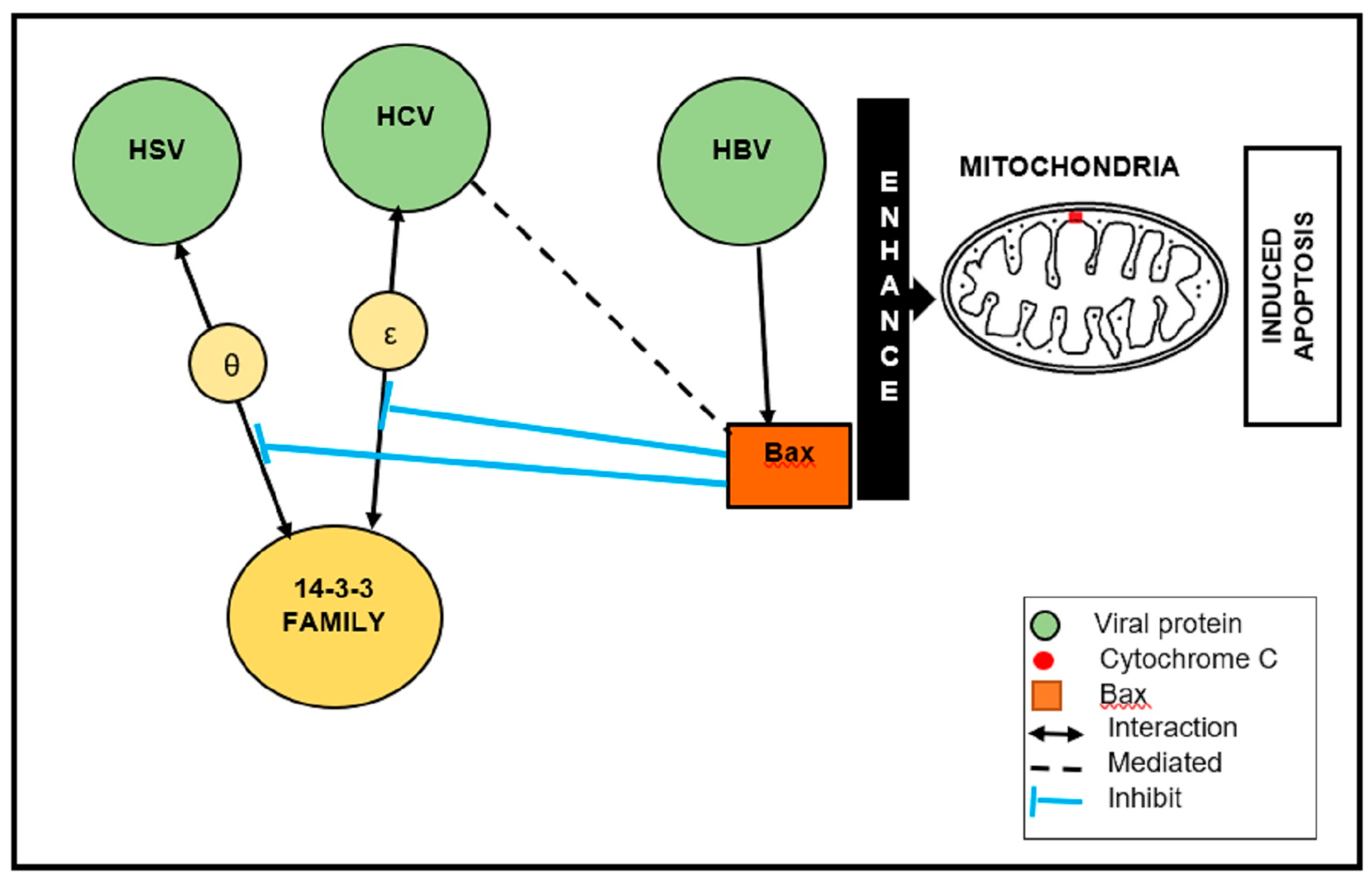 Viruses 12 00436 g002 Viruses 12 00436 g002
