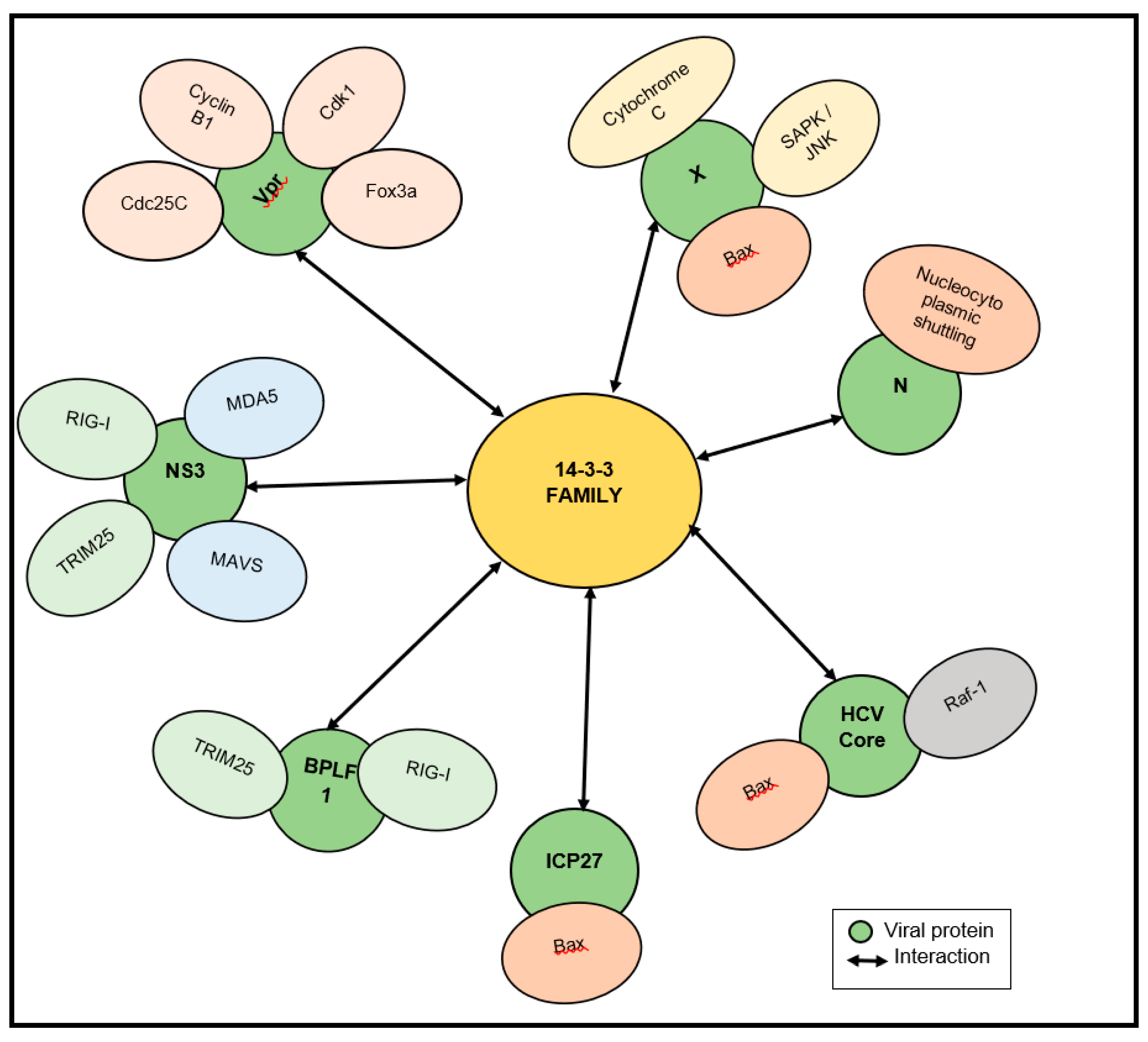 Viruses 12 00436 g003 Viruses 12 00436 g003