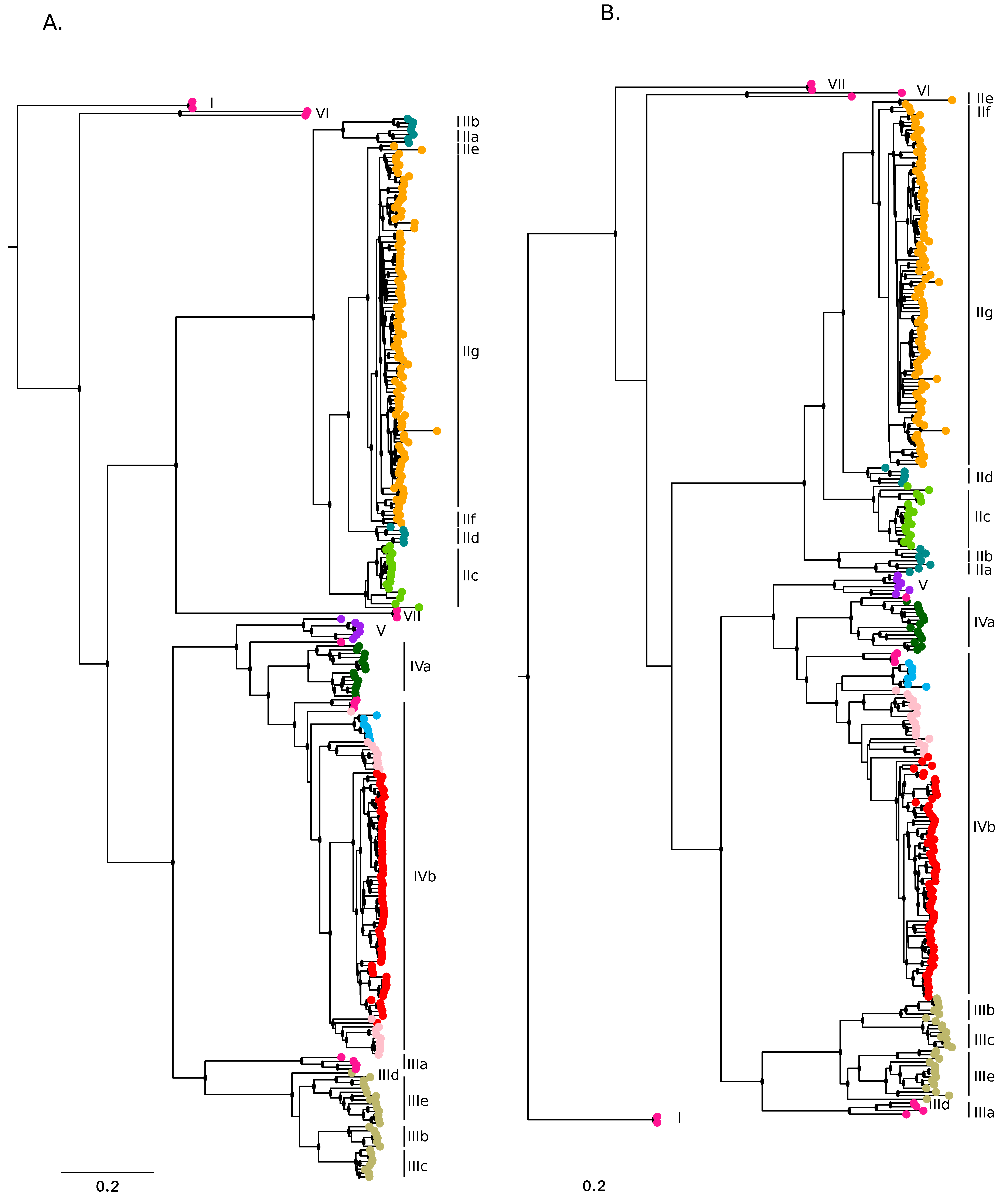 Viruses 12 00437 g002