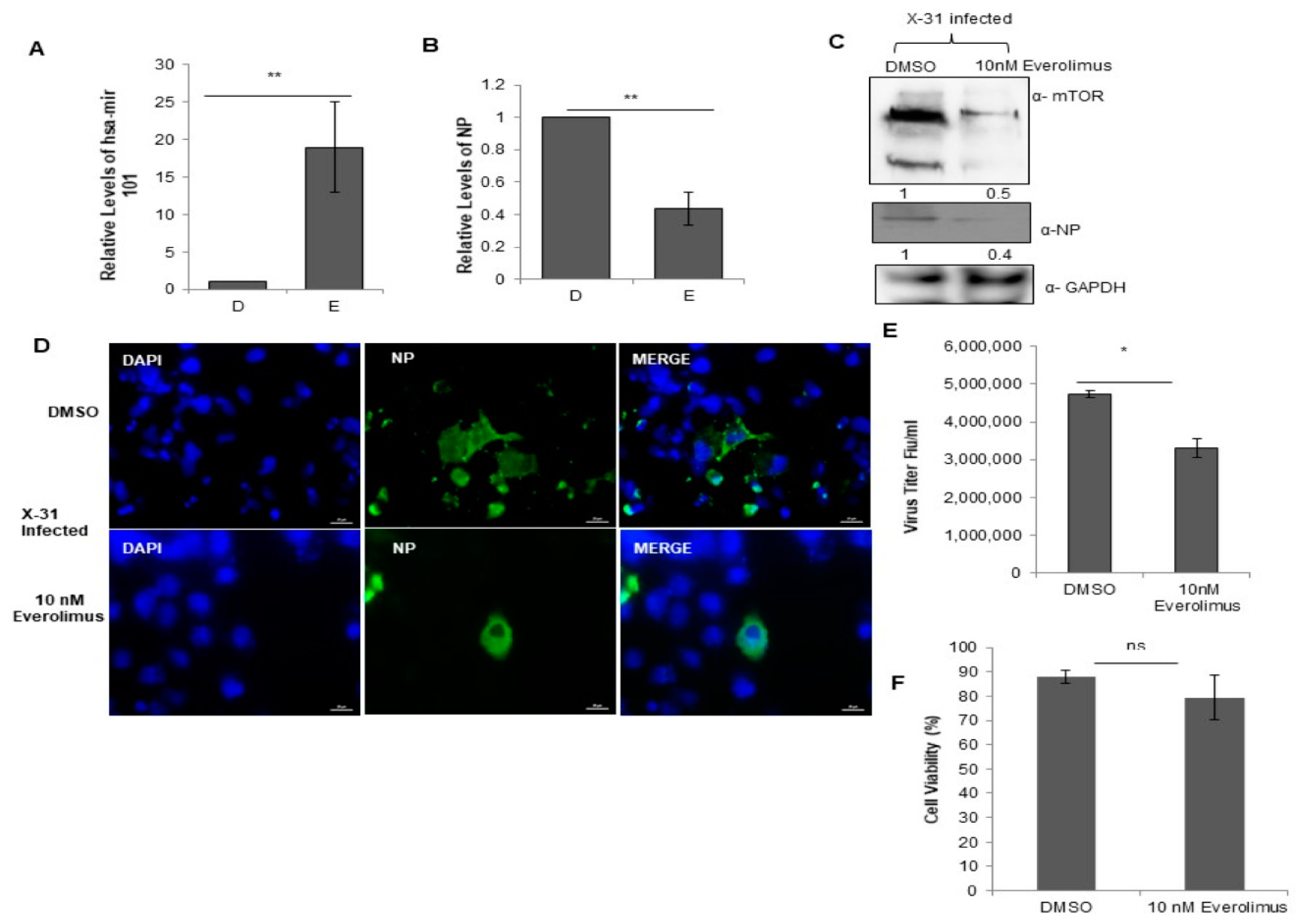 Viruses 12 00444 g007 Viruses 12 00444 g007