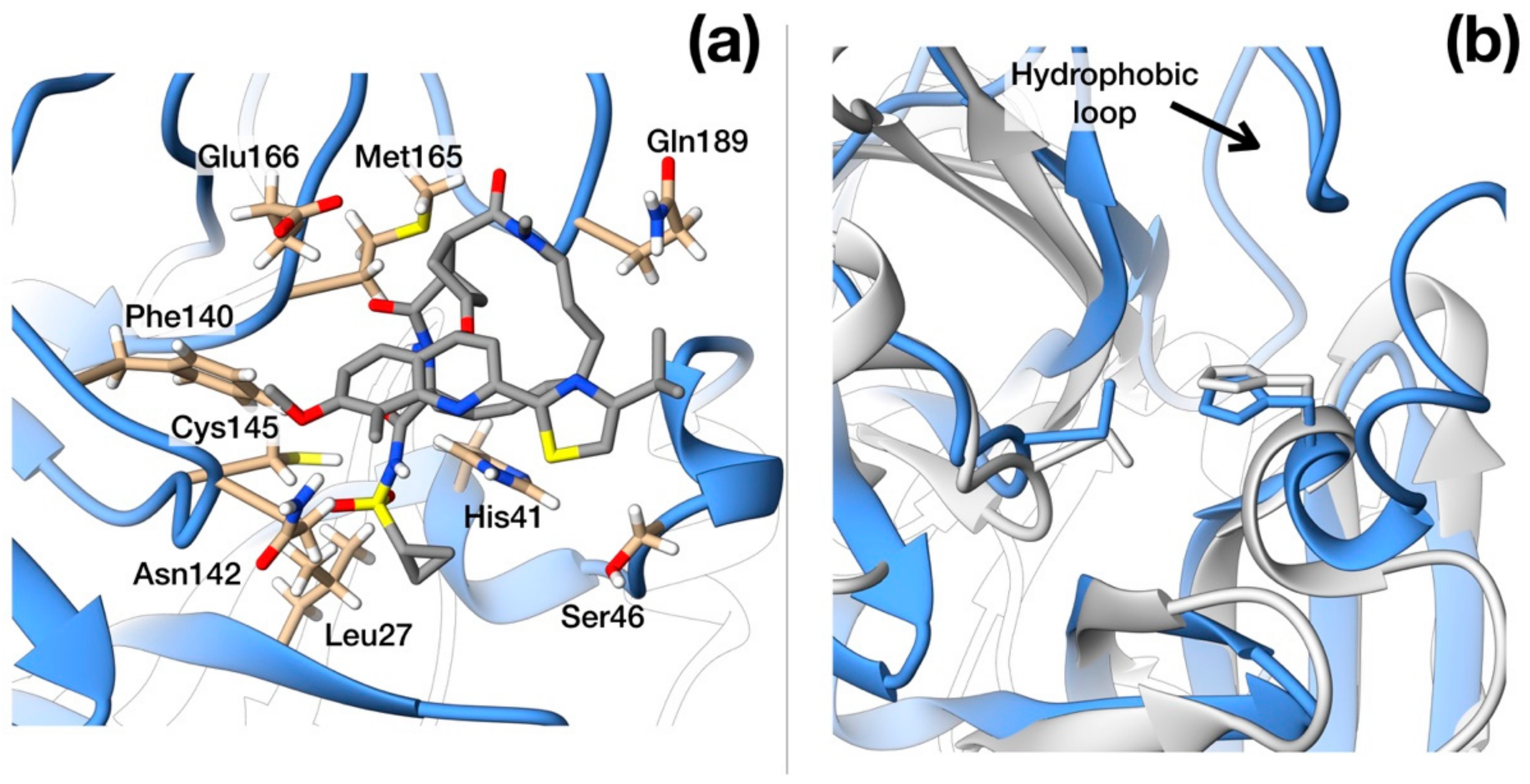 Viruses 12 00445 g003