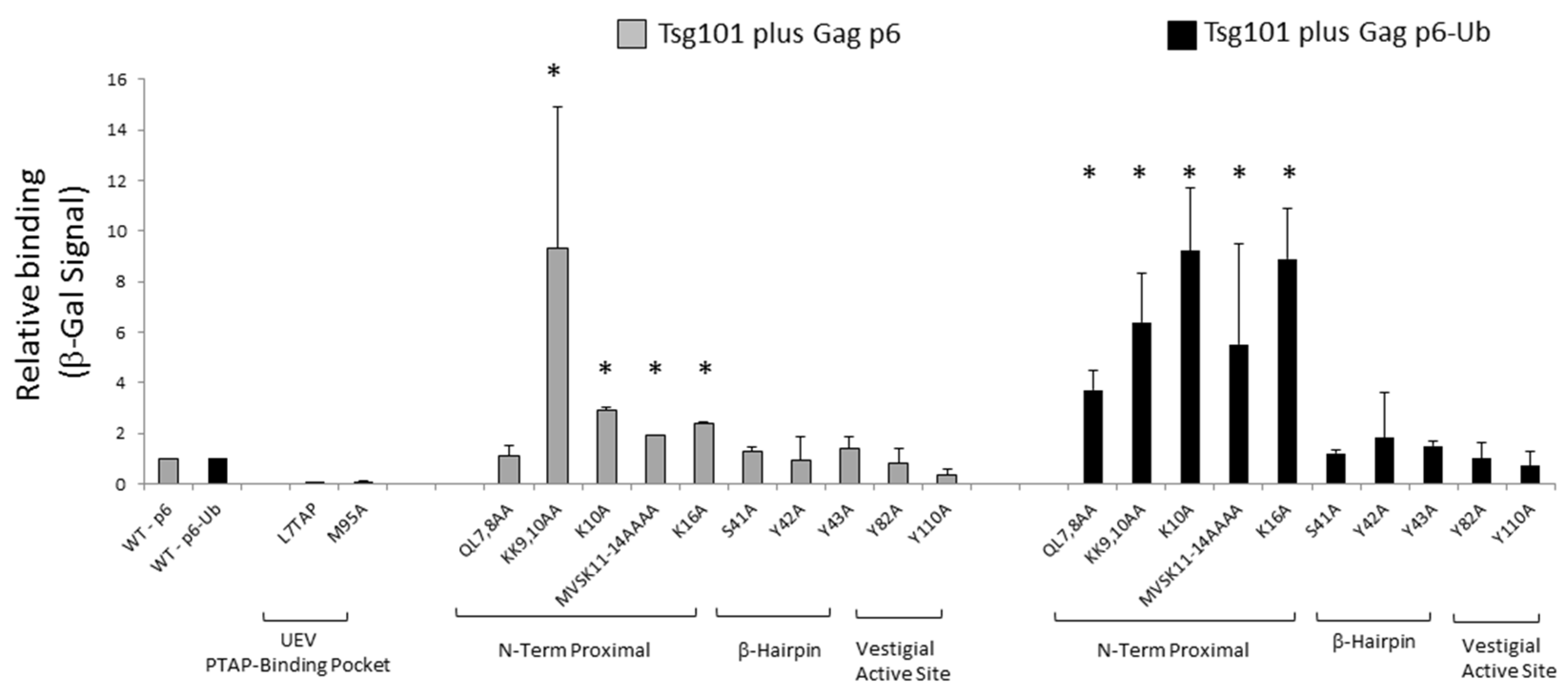 Viruses 12 00447 g008