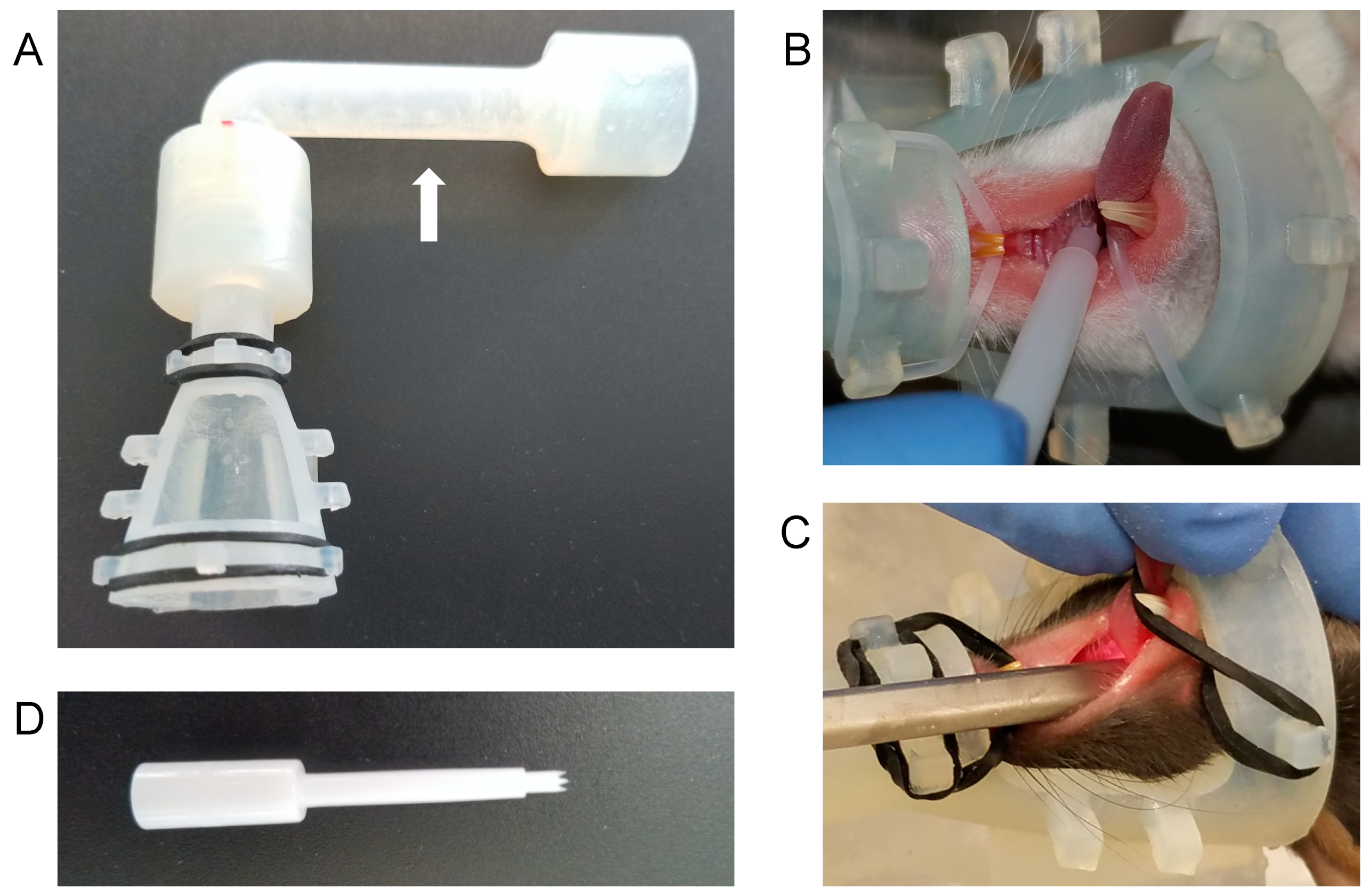 Viruses 12 00450 g001 Viruses 12 00450 g001