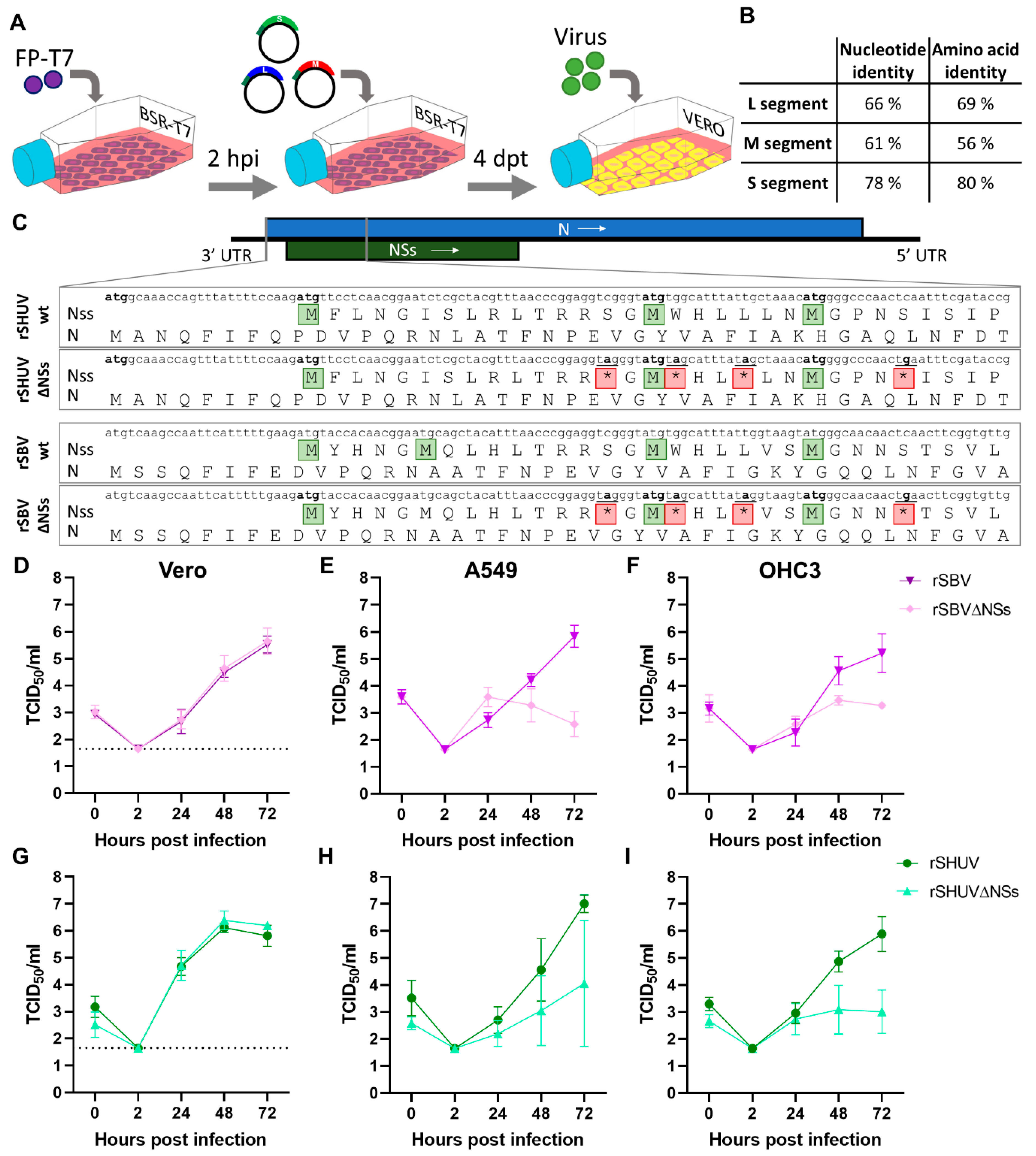 Viruses 12 00455 g001