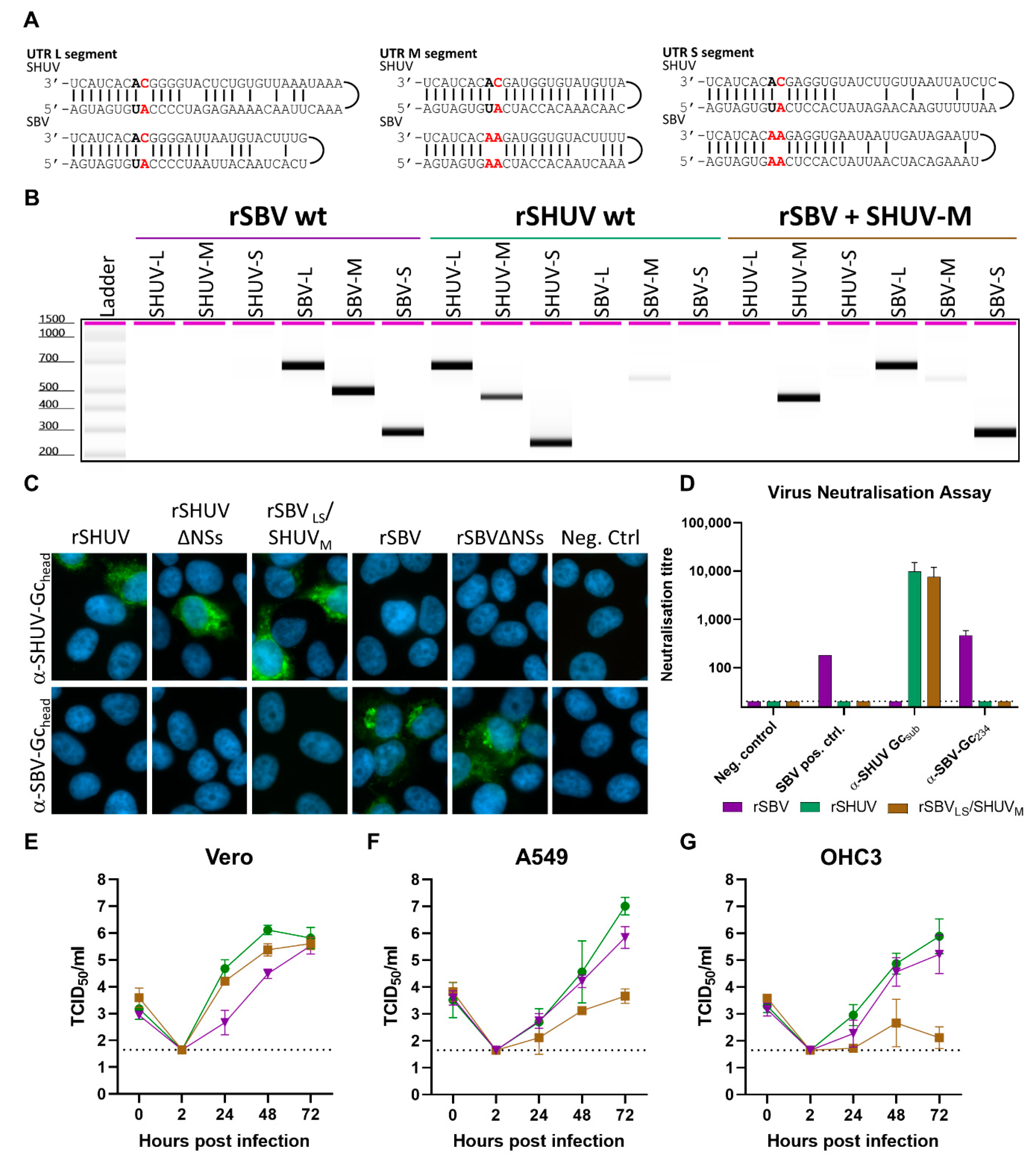 Viruses 12 00455 g002
