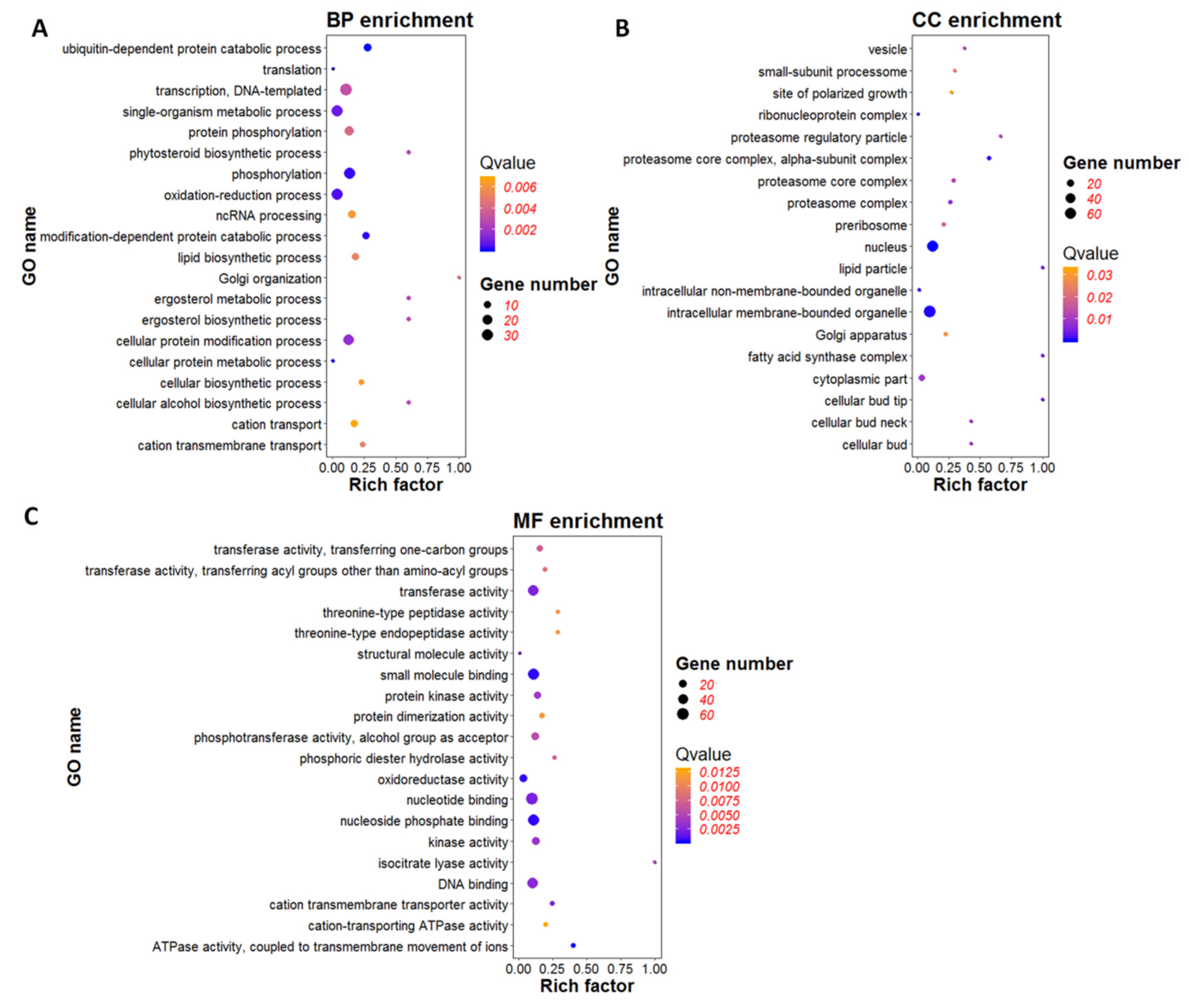 Viruses 12 00456 g006 Viruses 12 00456 g006