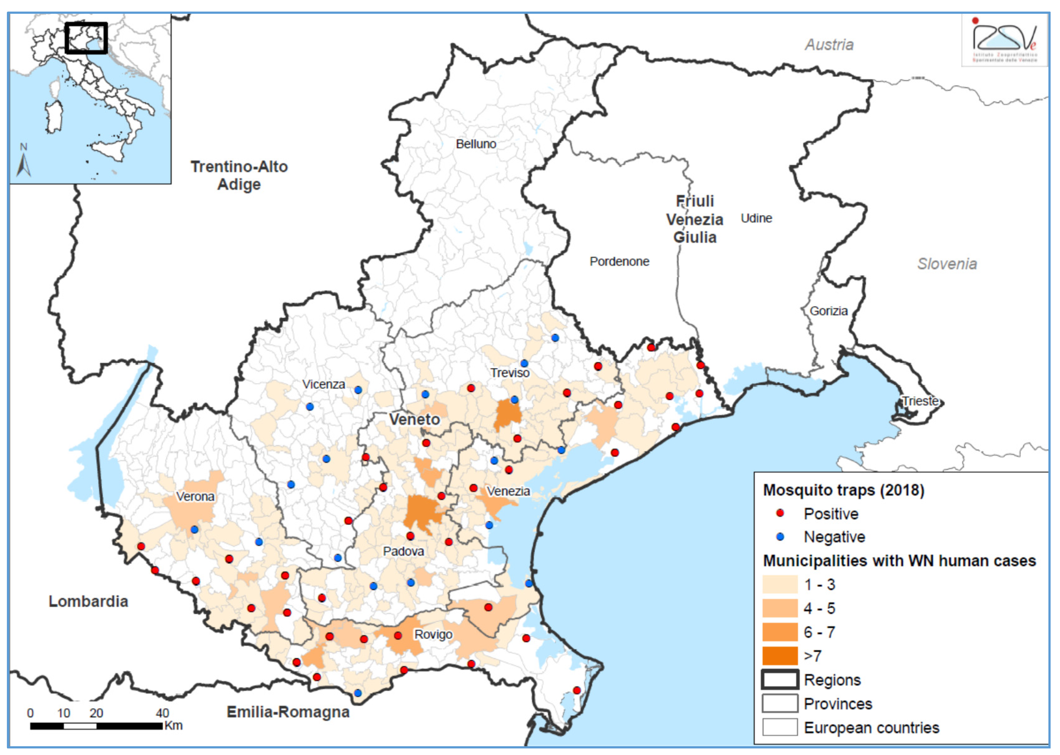 Viruses 12 00458 g003