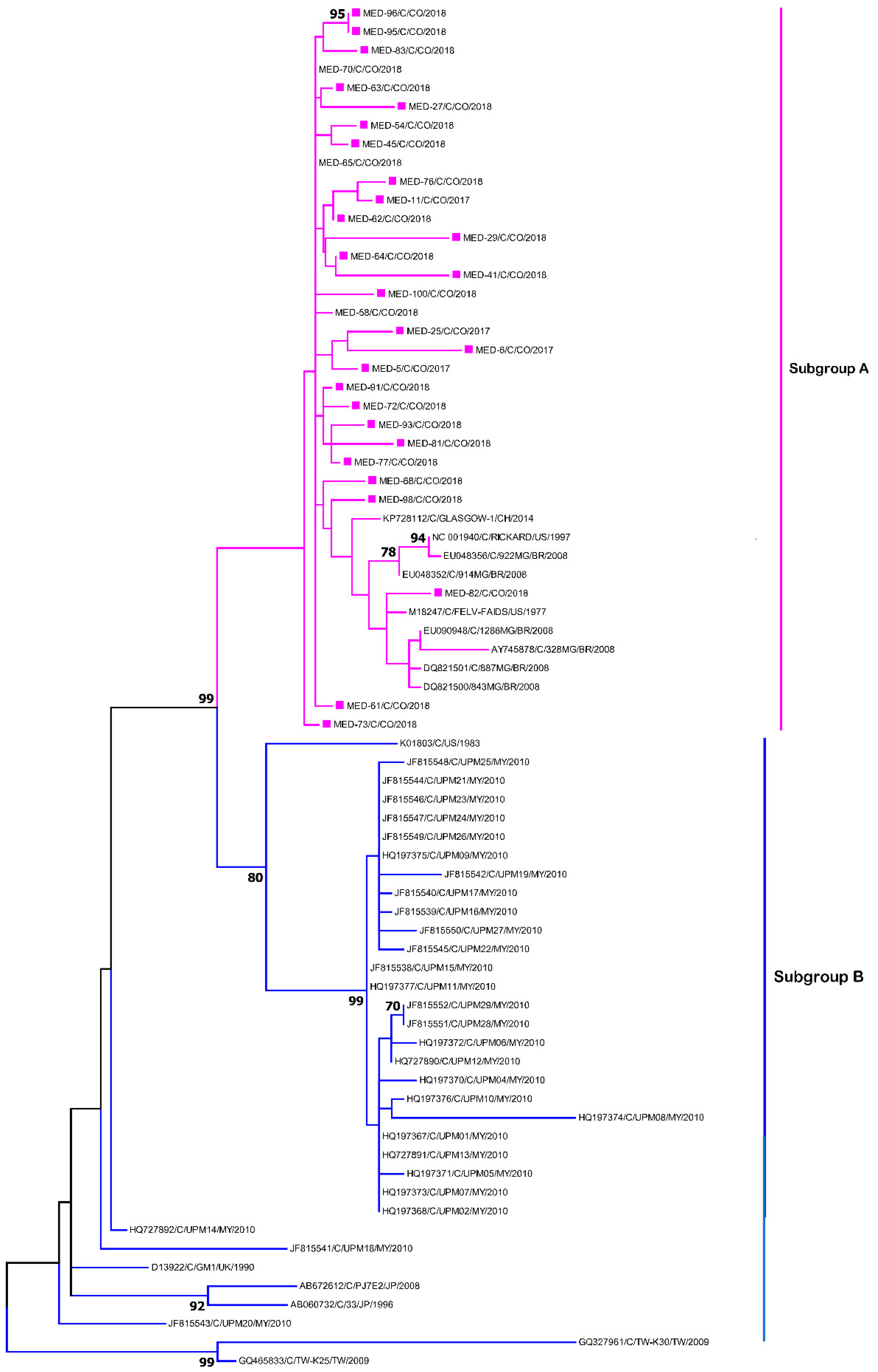 Viruses 12 00464 g002