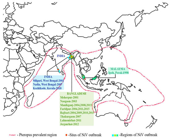 Viruses Free Full Text Nipah Virus Past Outbreaks And Future Containment Html
