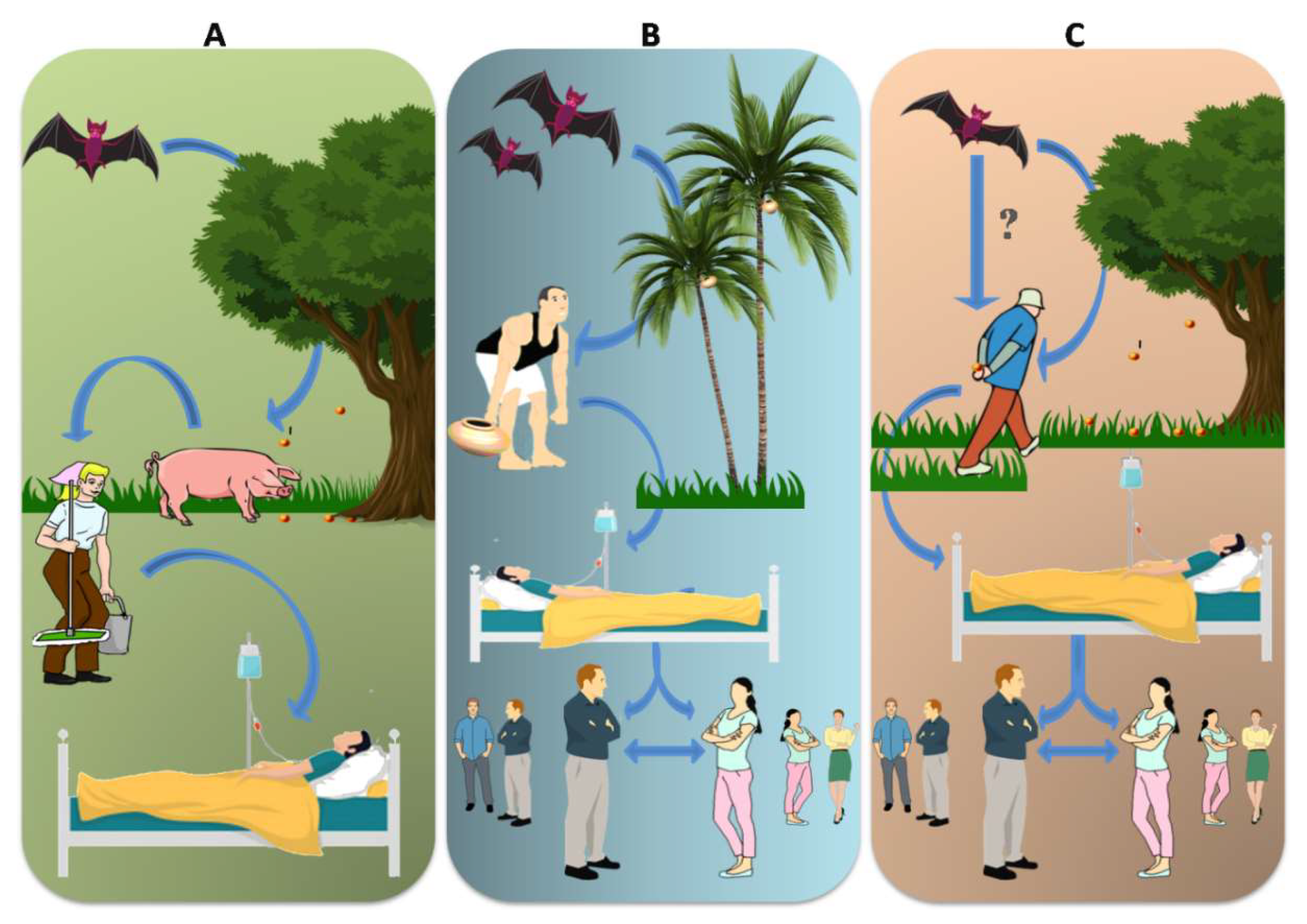 Viruses Free Full Text Nipah Virus Past Outbreaks And Future Containment