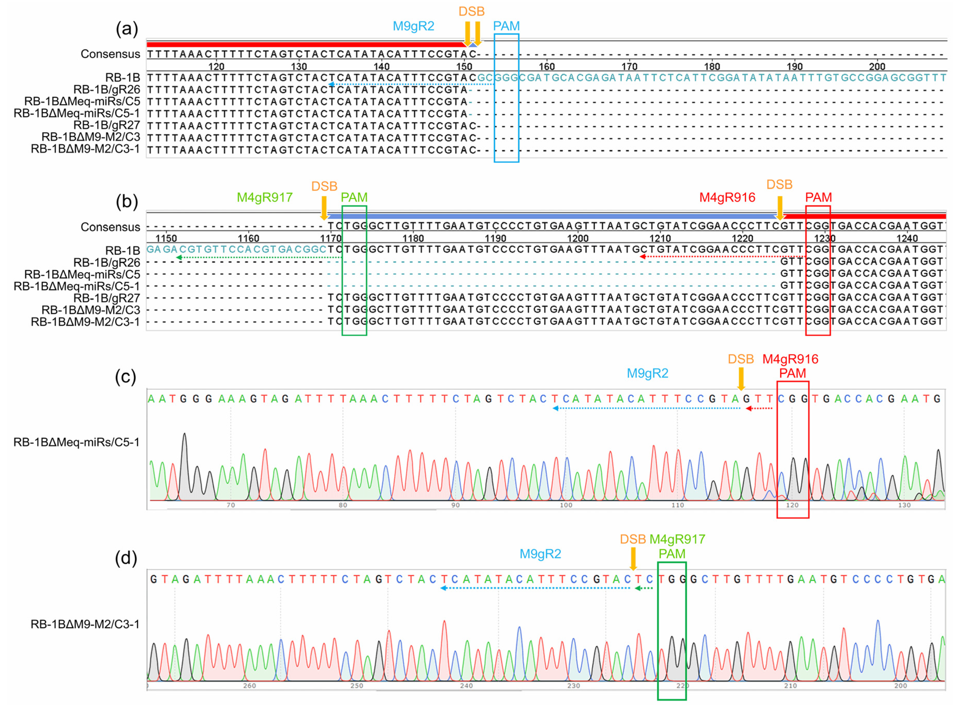 Viruses 12 00466 g003 Viruses 12 00466 g003